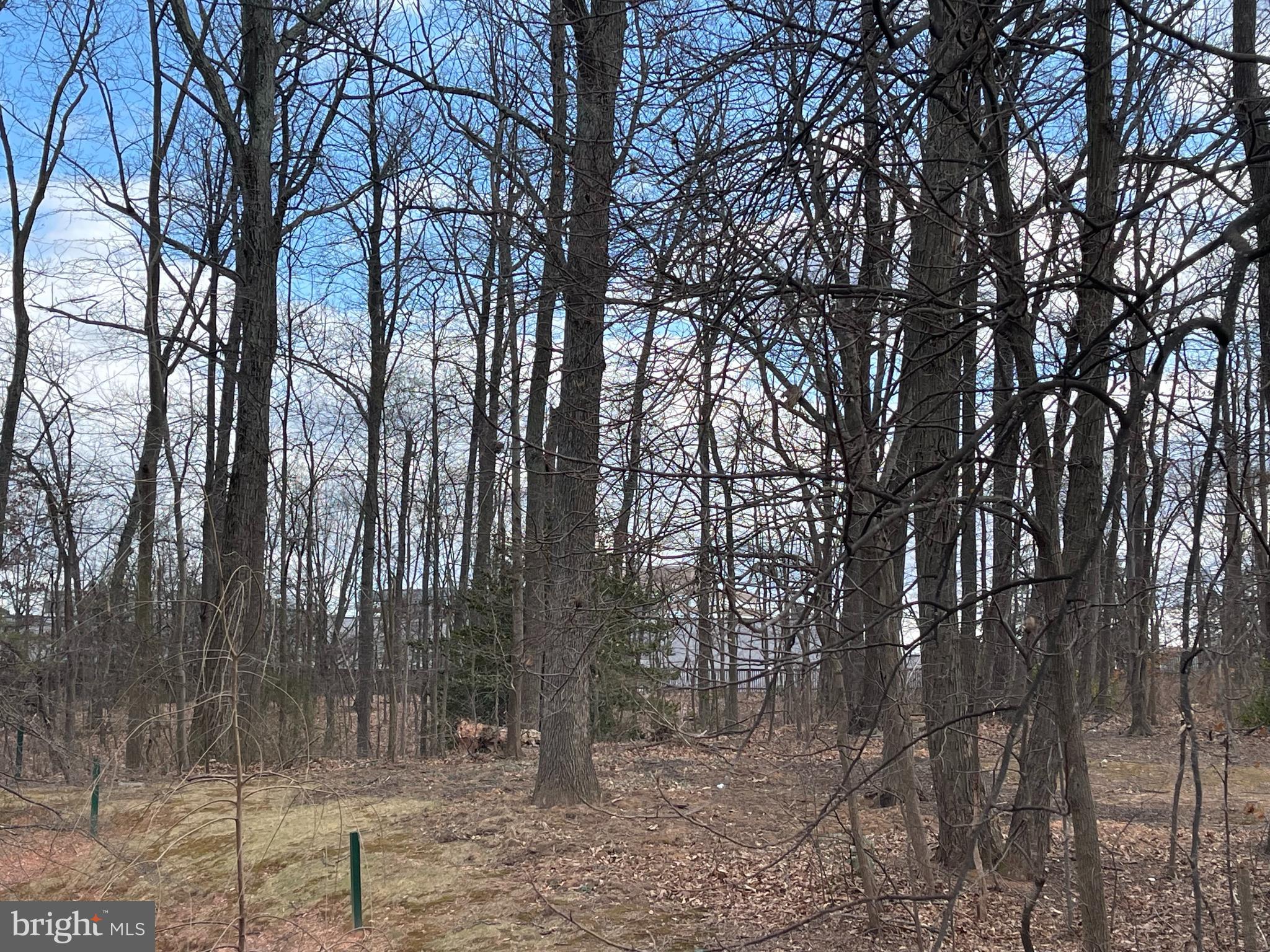 FAIR RIDGE - Residential