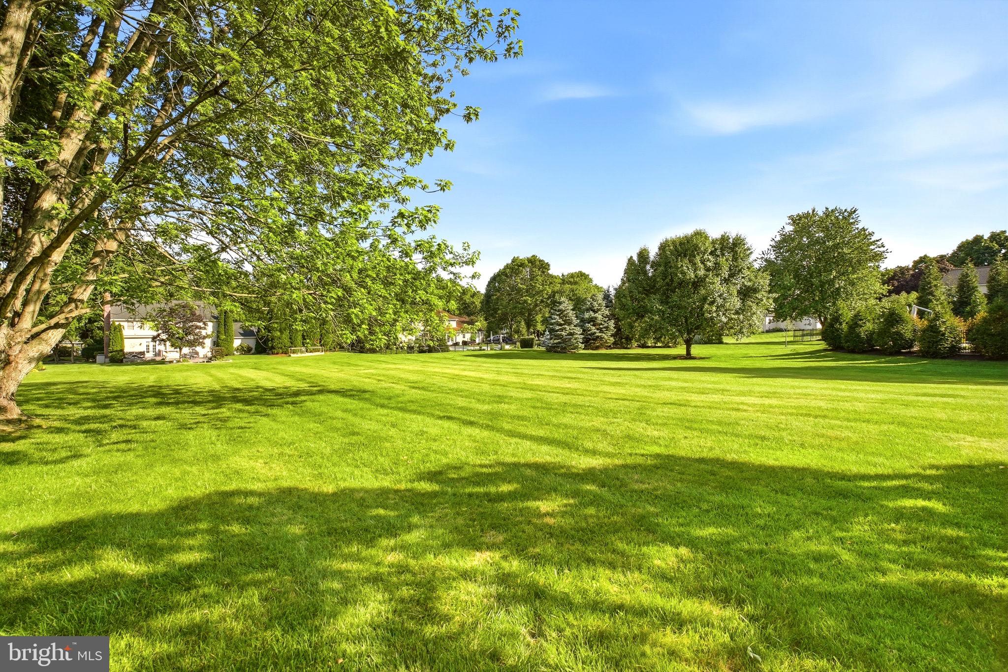 BOW TREE - Residential