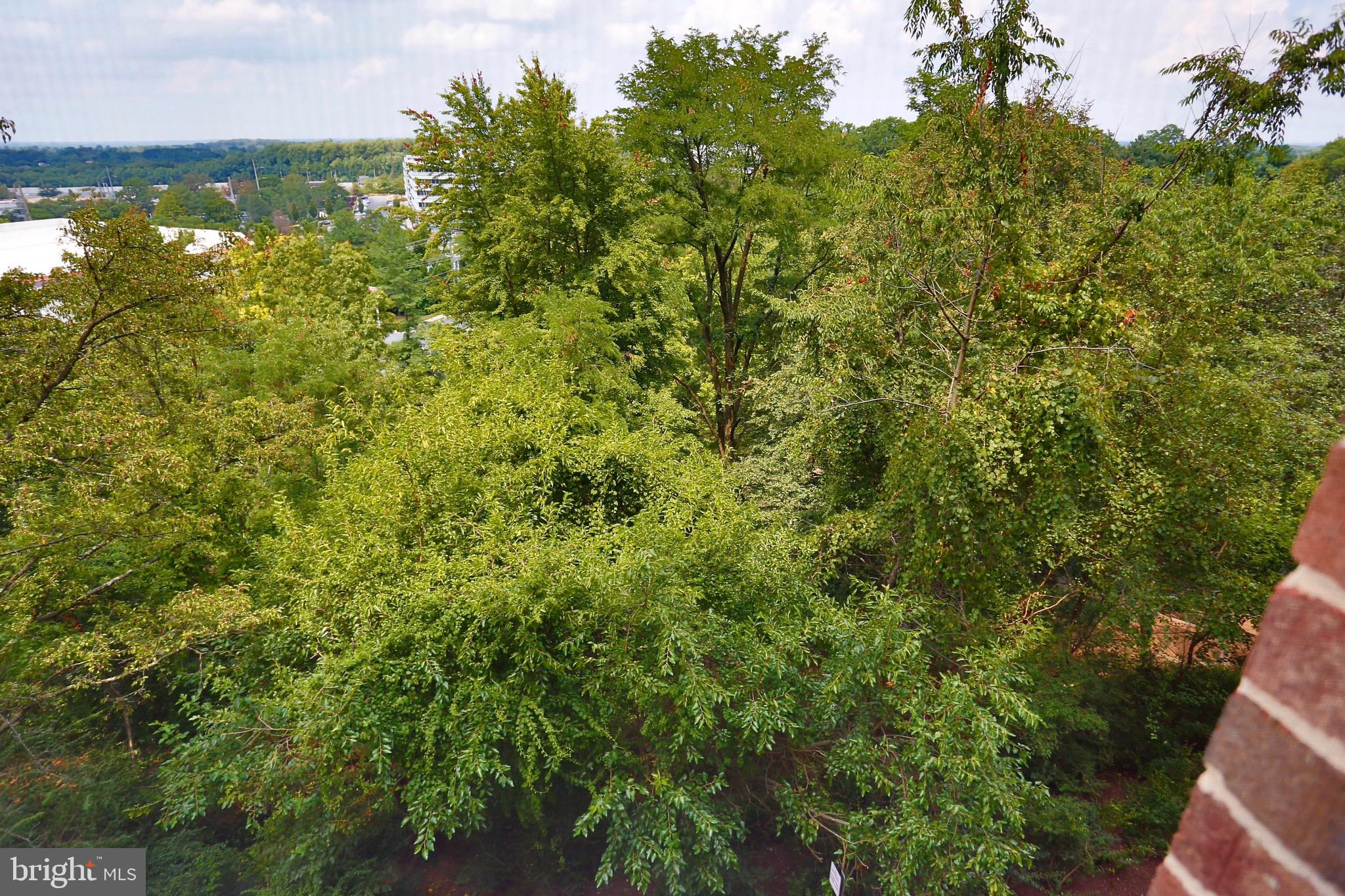 ROTONDA - Residential Lease
