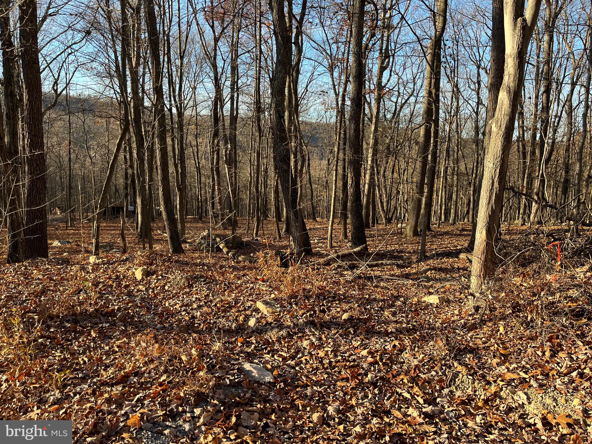 Located 12 M from Berkeley Springs, this 5 acre wooded lot would be a perfect location to build your weekend retreat.   Limited winter views with community access to the Cacapon River 5/10 M .  Enjoy peaceful summer days on the river in your canoe, kayak or inner tube with your fishing pole,