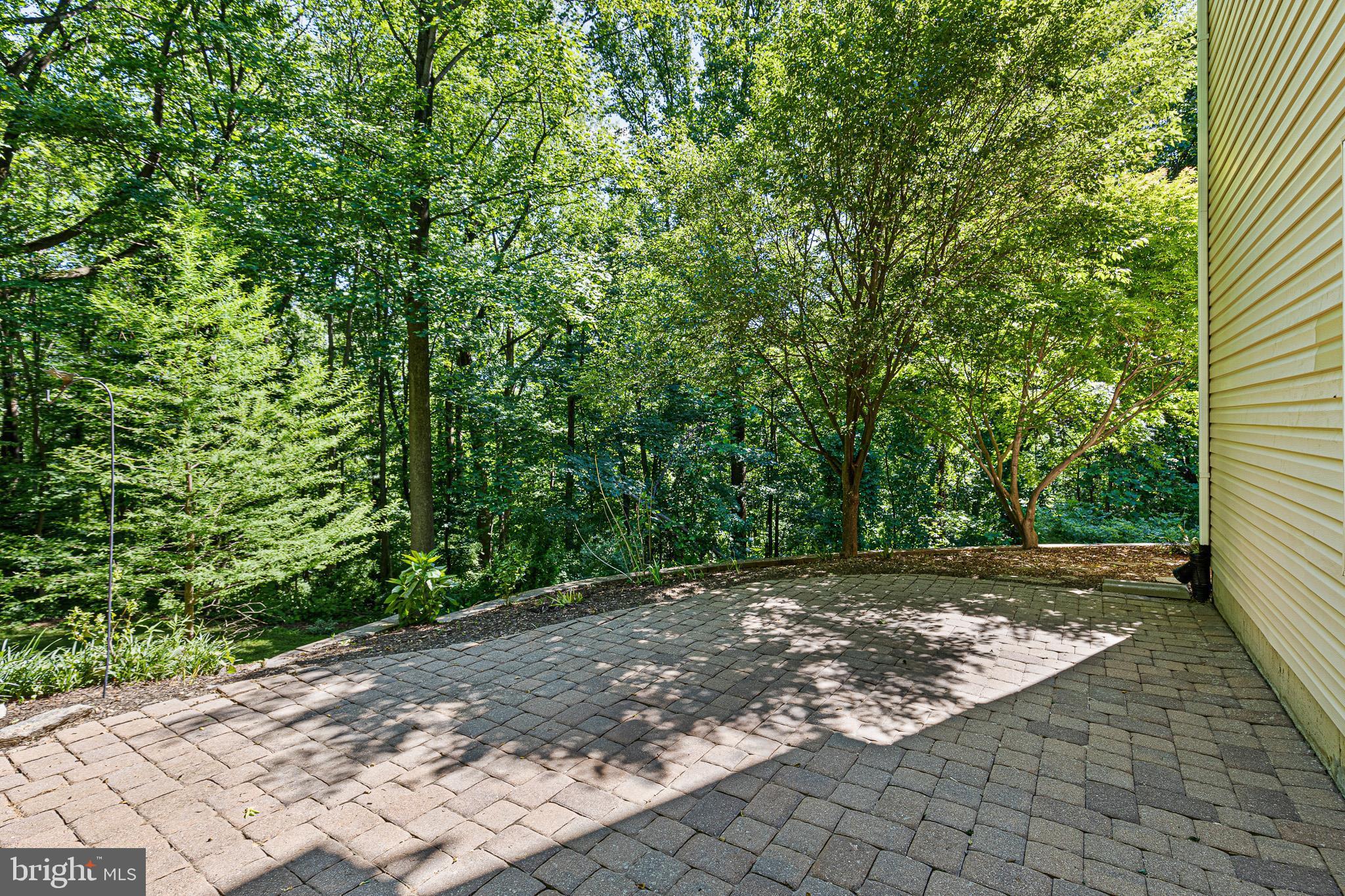 LAUREL WOODS - Residential