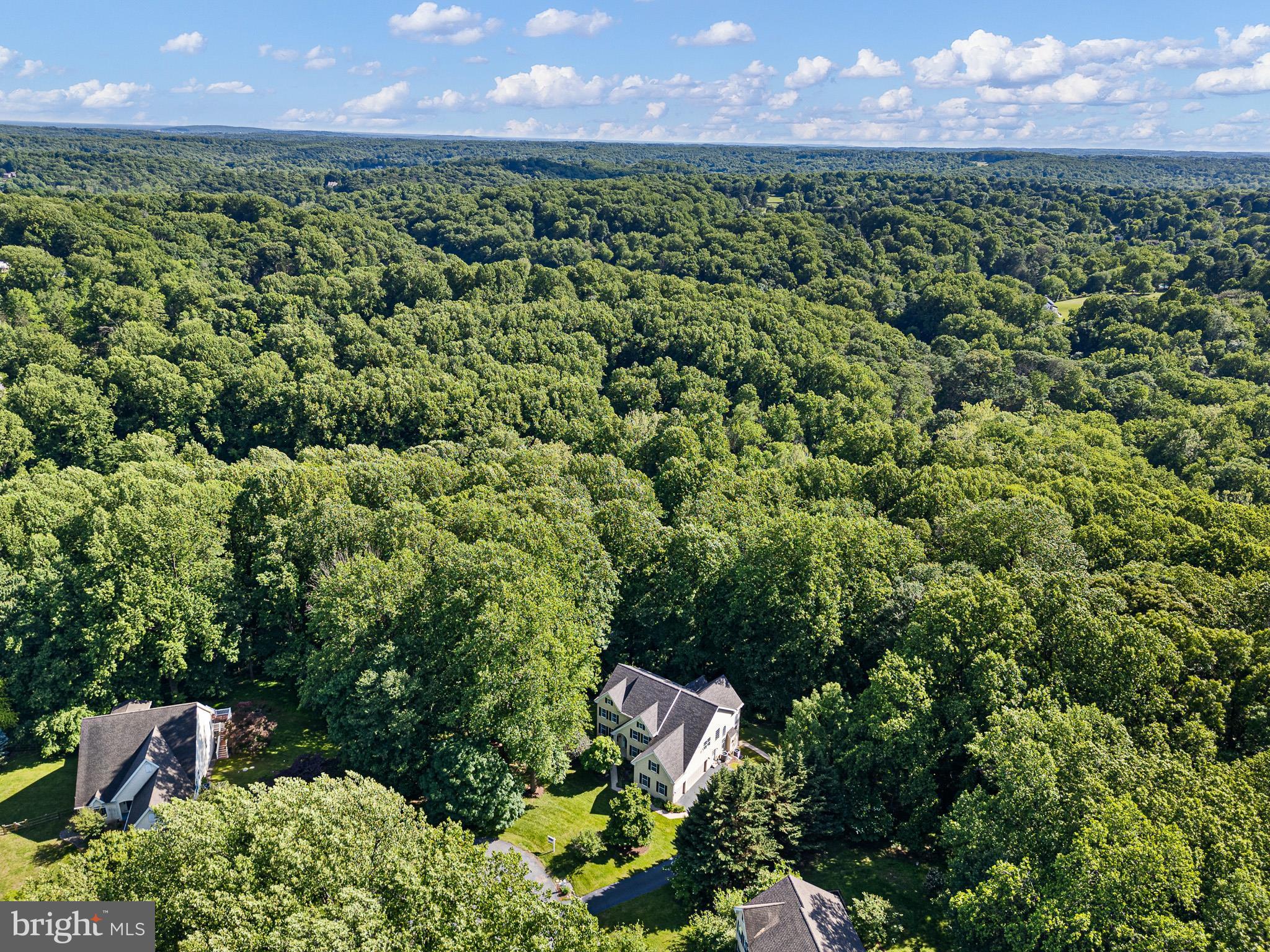 LAUREL WOODS - Residential