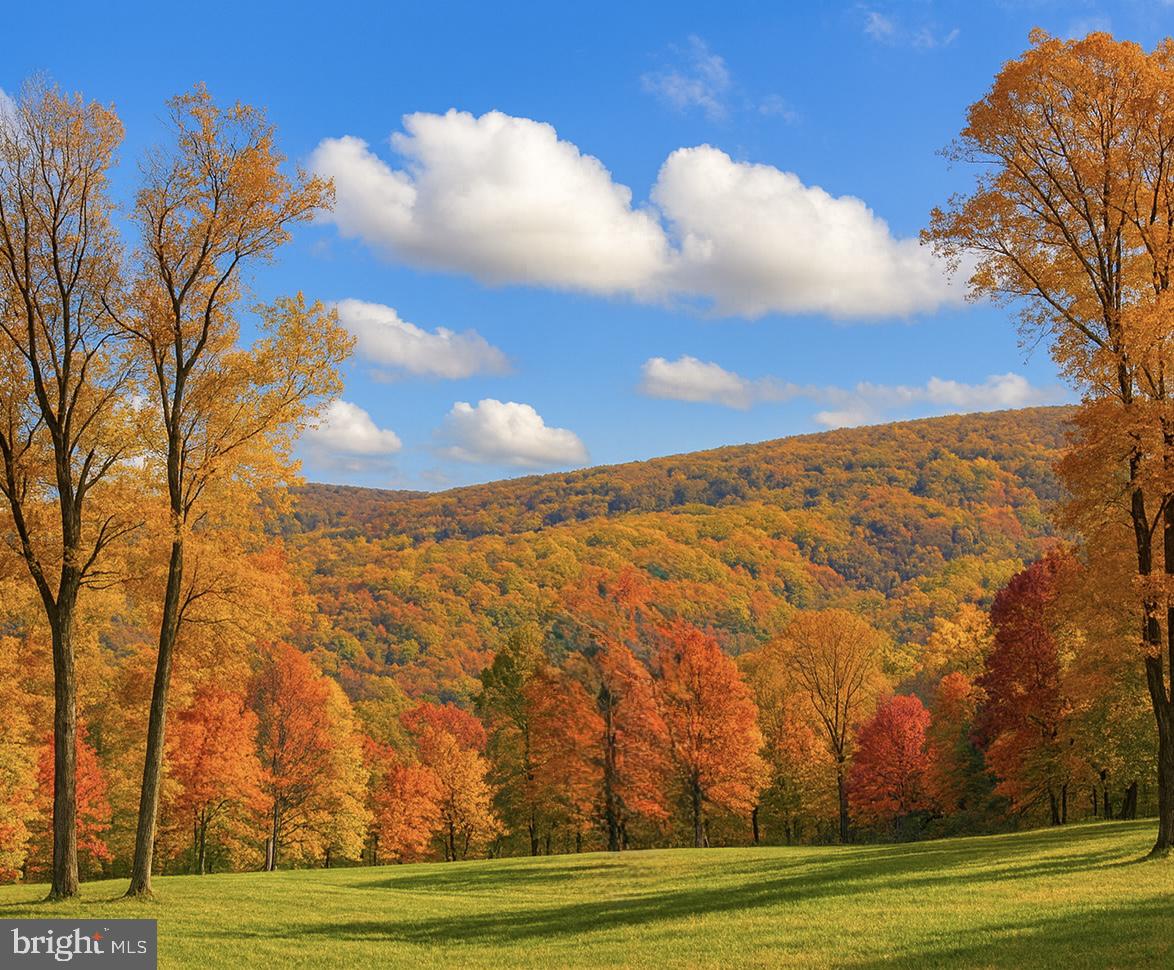SHENANDOAH FARMS - Residential