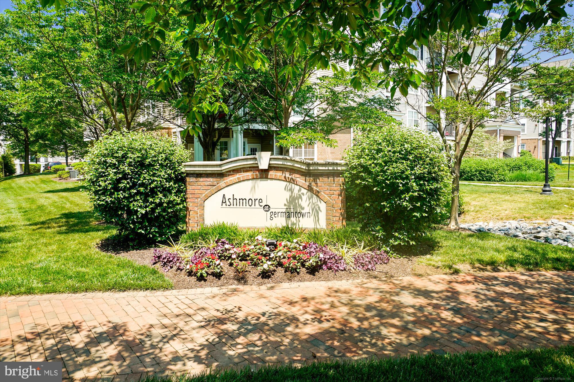 THE ASHMORE - Residential