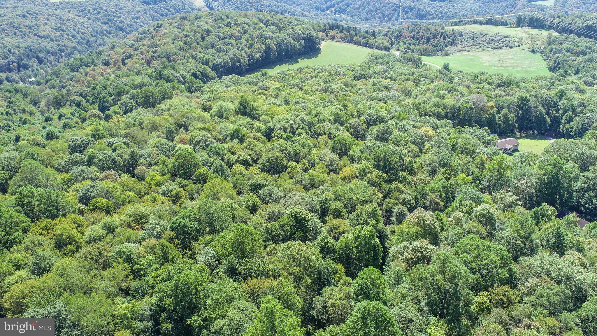 WINDING RIDGE - Land