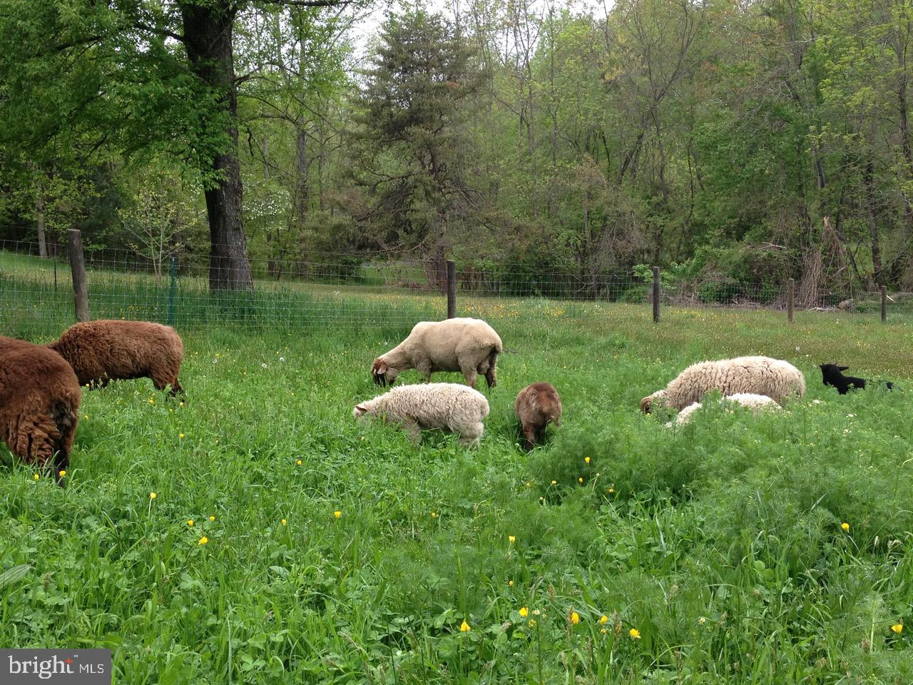 RAPPAHANNOCK WOODS - Residential