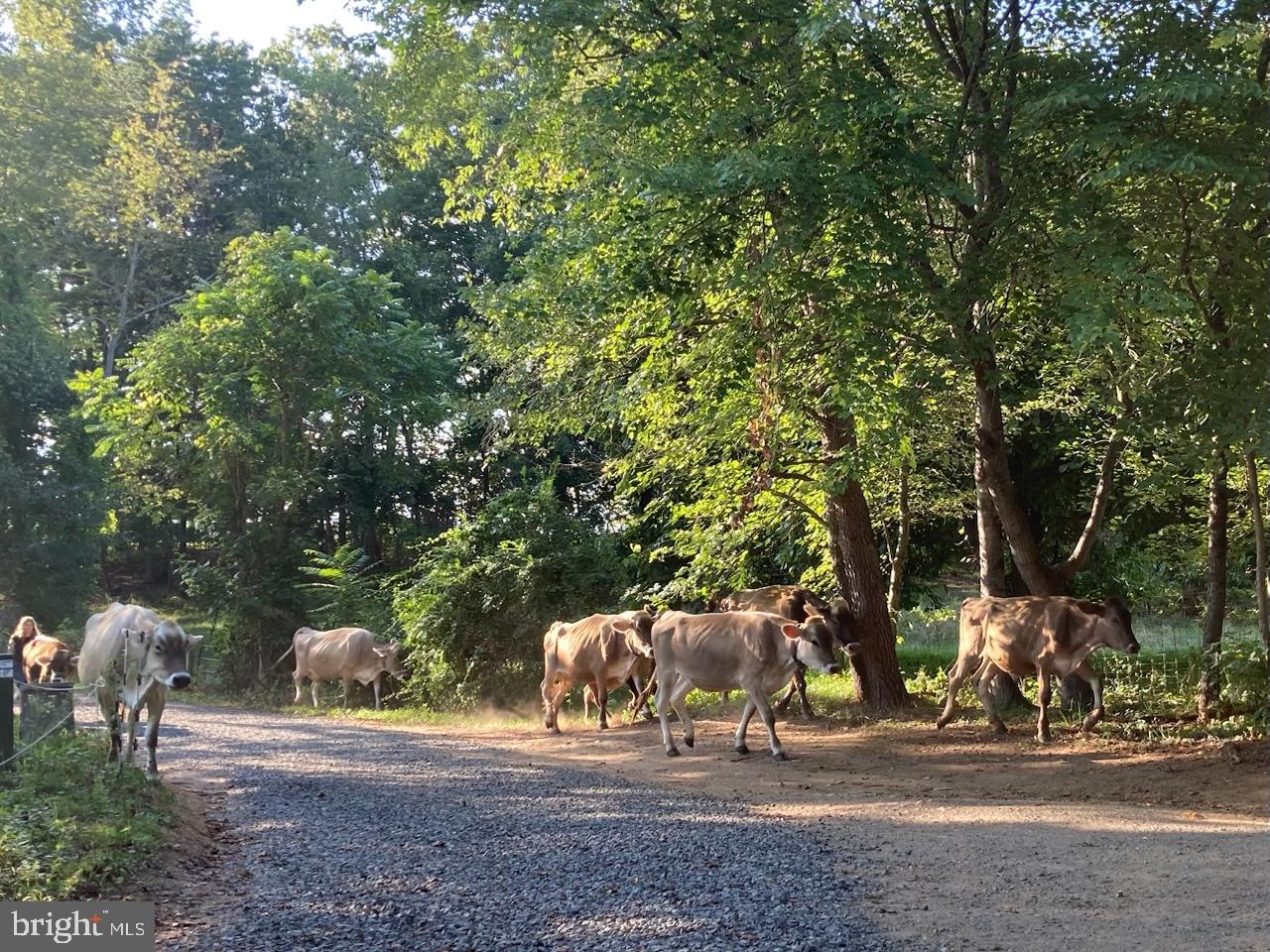 RAPPAHANNOCK WOODS - Residential