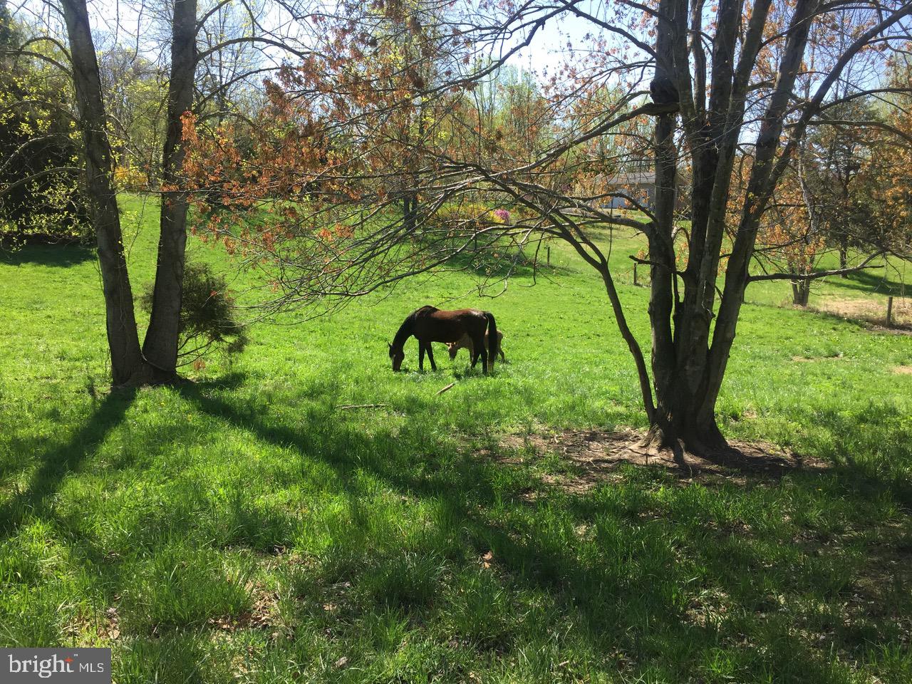 RAPPAHANNOCK WOODS - Residential