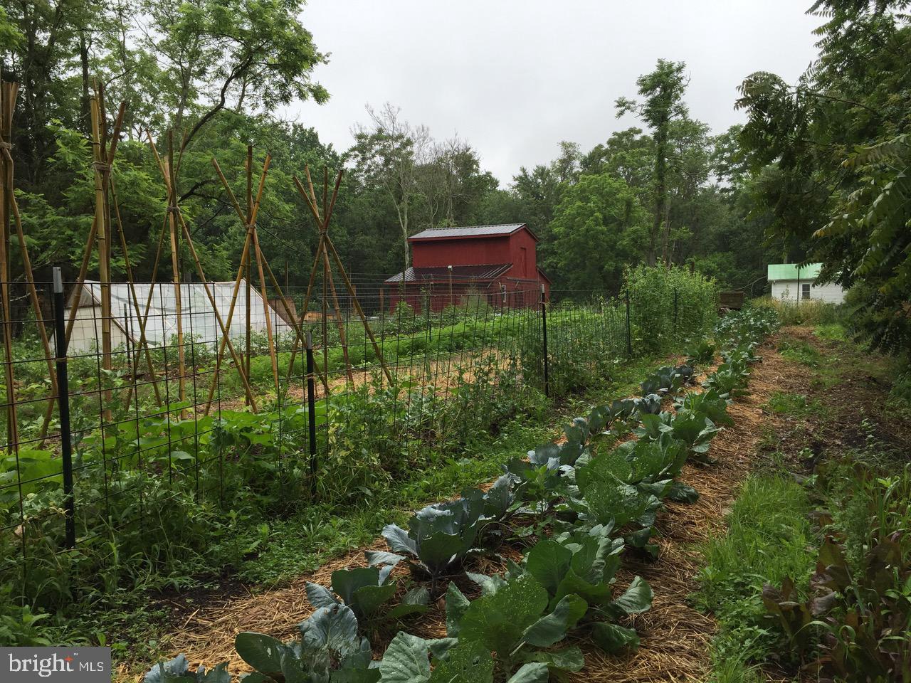 RAPPAHANNOCK WOODS - Residential