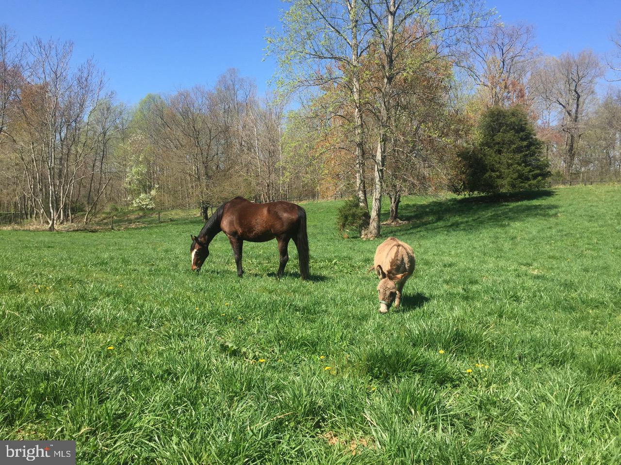 RAPPAHANNOCK WOODS - Residential
