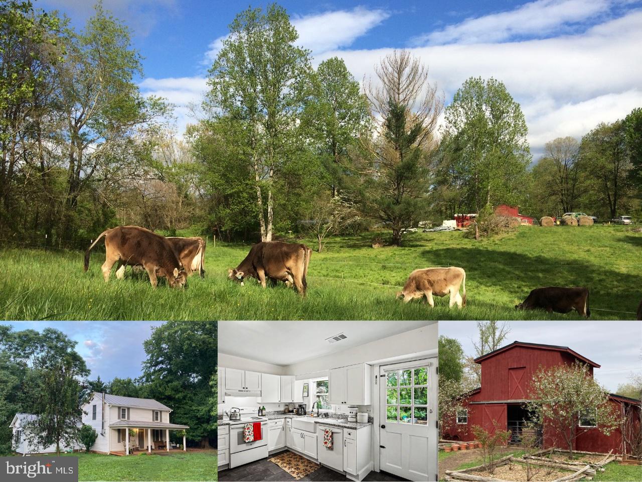 Experience country living at its finest with this meticulously remodeled 1910 farmhouse, nestled on 6 picturesque acres.
Operating as a profitable, active farm, this property offers incredible, immediate equity with extensive, high-quality improvements already in place. Because it is currently in active agricultural use, the property taxes are remarkably low—a financial benefit the new buyer can easily maintain with minimal effort, or it can easily be converted to a simple 6 acre property with a 2 stall barn, using the farm store as a separate unit home office, workshop or specialized hobby space.
The main residence of this historic charm meets total modern luxury! Every inch of this charming 3-bedroom, plus office/library home has been completely updated to ensure worry-free living for decades to come. Brand-new metal and shingle roof, new gutters, fresh exterior paint, a new well pressure tank, a whole-house water filtration system, and a new water heater. Notable updates include freshly refinished, Virginia-milled ash wood floors, fresh paint, and all-new window treatments throughout, a fully remodeled eat-in kitchen with all-wood cabinetry, premium granite countertops, a classic farmhouse sink, and new appliances, a fully updated bathrooms with exquisite custom tilework and a professionally restored, original 1920s cast-iron clawfoot tub. The bedrooms are spacious with new on the main level, and there is a cozy family room anchored by an exceptional, Virginia-crafted wood stove for ultra-efficient secondary heating. The laundry room features a new commercial-grade SpeedQueen washer and dryer. 
This property offers multi-use farming activities with farm infrastructure and multiple business opportunities. The versatile, high-end outbuildings offer endless potential for a farm store, agritourism, workshops, artisanal trades, or a premier equestrian/livestock homestead. The Barn (1,040 SQ FT, Built 2013) is a two-story powerhouse featuring a 16’x20’ center aisle on a concrete pad, 2 stalls, a workshop/tack room, a dedicated washroom with 3-basin stainless steel sink, and an air-conditioned office and storage room/hay loft in the upper level. The Farm Store (Built 2022) offers potential to boost your income immediately. It features a fully finished front retail room with a welcoming covered porch, a back-room production workspace, and a spacious storage loft and is currently operating successfully on Saturdays. Farming possibilities here offer year-round production & greenhouses that are a gardener's paradise boasting deep organic topsoil, multiple raised beds, and two hoop-style greenhouses engineered for year-round vegetable harvesting. Bring your livestock to this fully ready and fully perimeter-fenced with two separate pastures serviced by frost-free hydrants and underground water lines. Property includes a well designed chicken coop with an enclosed run, alongside established fruit trees and berries (apples, pears, cherries, peaches, plums, figs, and several varieties of berries). There are 3 additional detached sheds providing abundant storage for equipment, tools, and hobbies.
The property is a private sanctuary with perfect connectivity,tucked away on a quiet country road, backing to the serene Indian Run Creek and is surrounded by mature woods frequented by deer, wild turkey, and even the occasional bald eagle. Enjoy total privacy while remaining just 1 mile from Highway 211, offering a short drive to Warrenton, Front Royal, and Culpeper. Immerse yourself in Rappahannock County’s vibrant culture of world-class wineries, art, equestrian trails, and hiking in nearby Shenandoah National Park.
Note: The Farm Store is open Saturdays from 8 AM to 6 PM. An appointment is strictly required to view the rest of this private, turnkey homestead.