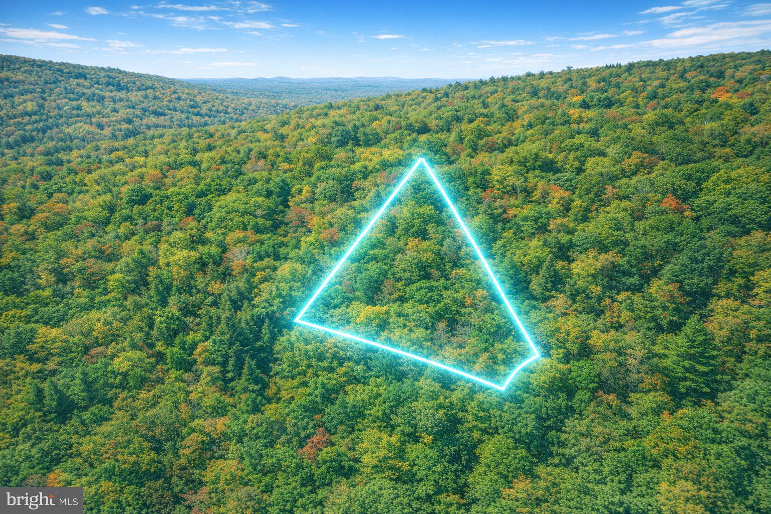 Escape to the mountains of Fort Valley with these wooded lots located in an outdoor enthusiast-friendly community featuring community fishing lakes, picnic areas, and close proximity to the George Washington National Forest for hiking, hunting, camping, and exploring the outdoors. Lots 168, 169, and 170 are all available for purchase, offering flexibility for buyers looking for one lot or the opportunity to own multiple adjoining parcels.