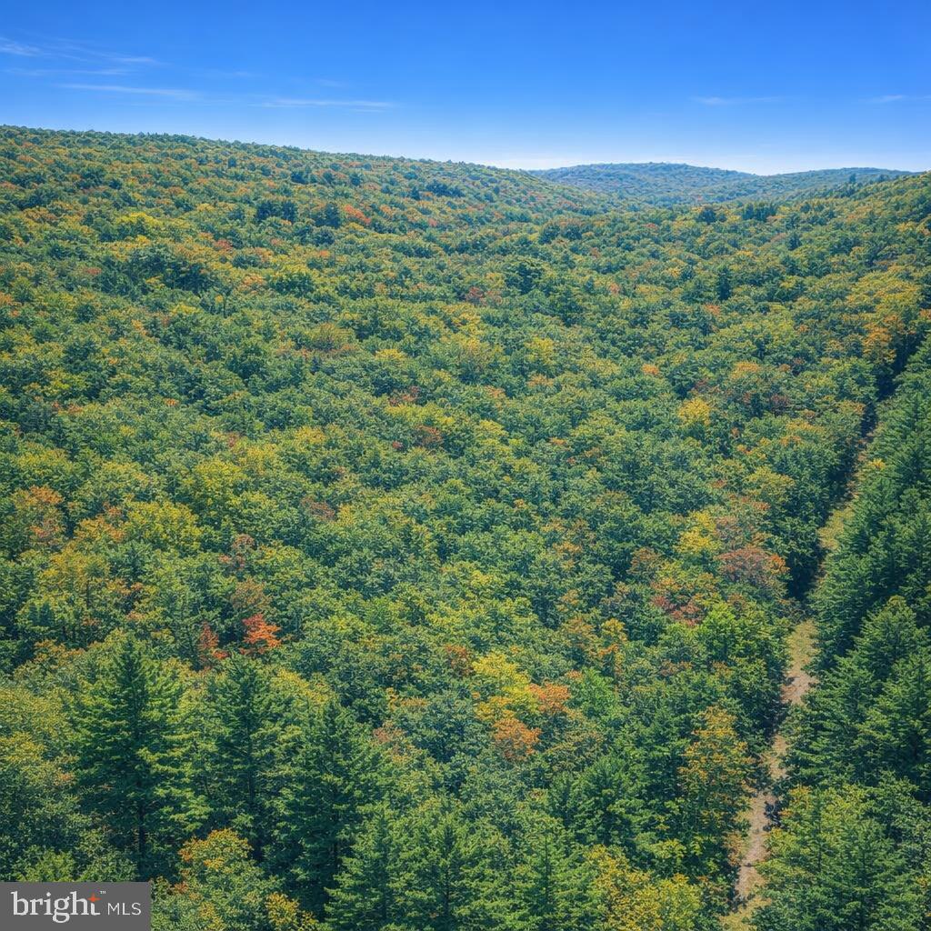 MINE MTN - Land