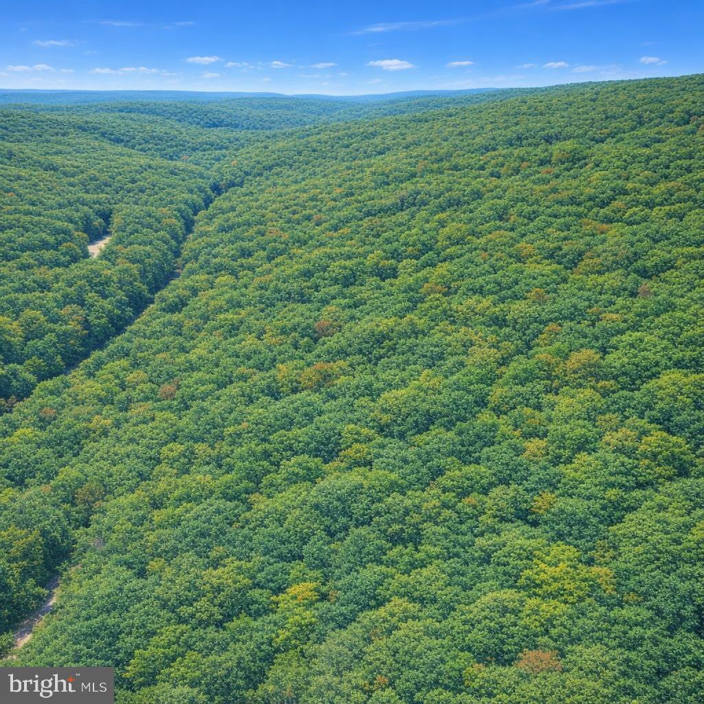 MINE MTN - Land