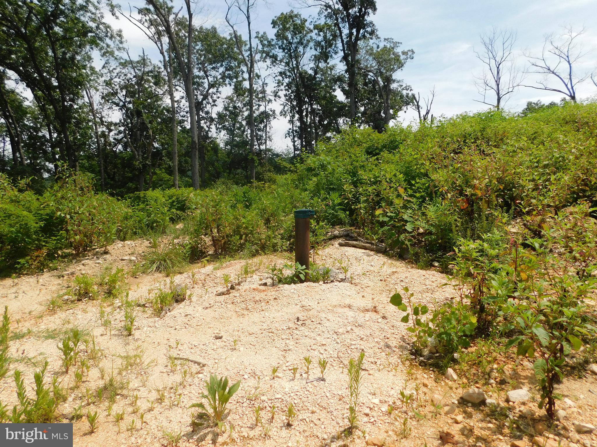 LARKIN RIDGE ESTATES - Land