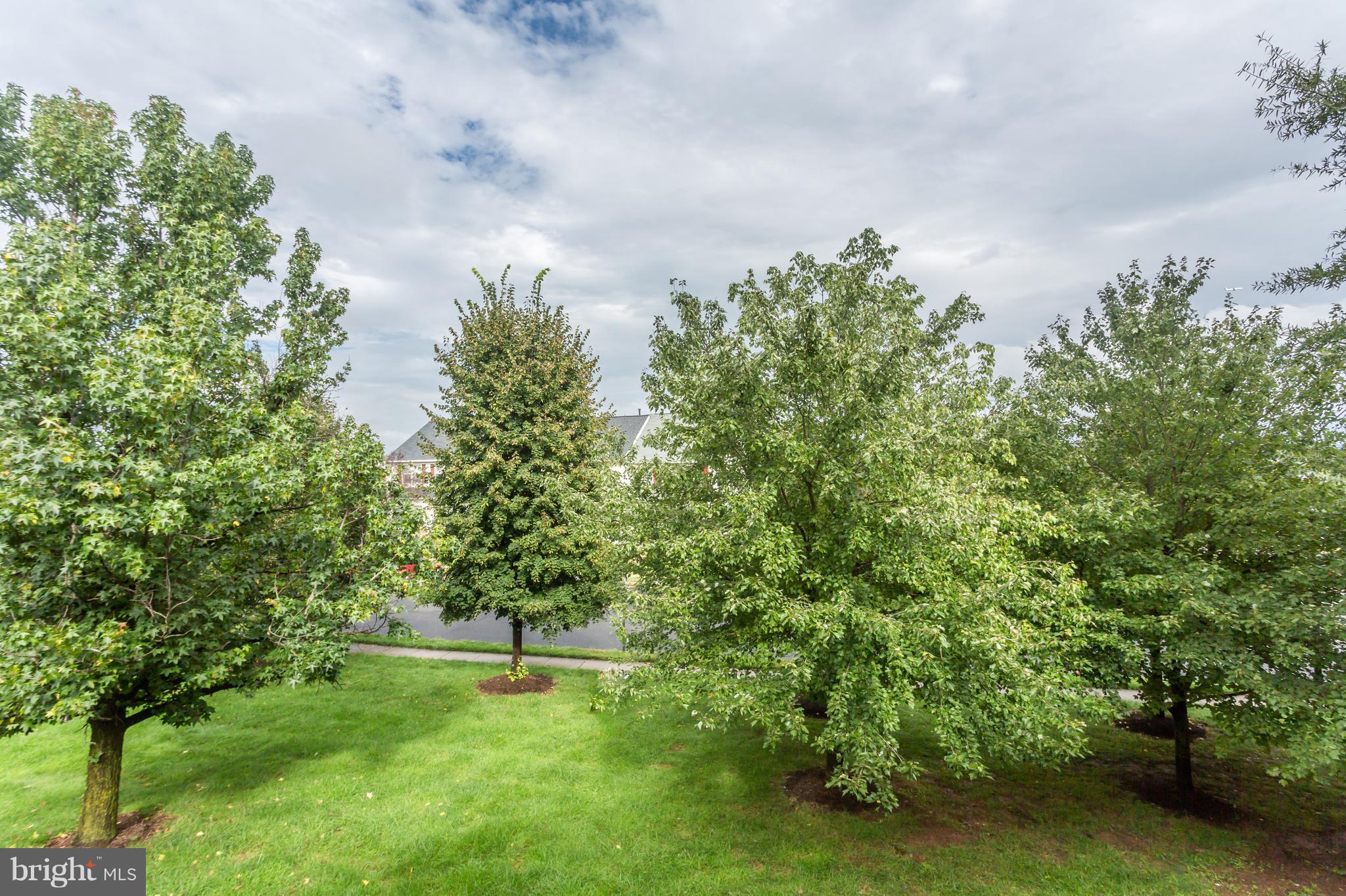 RIDGES AT ASHBURN - Residential