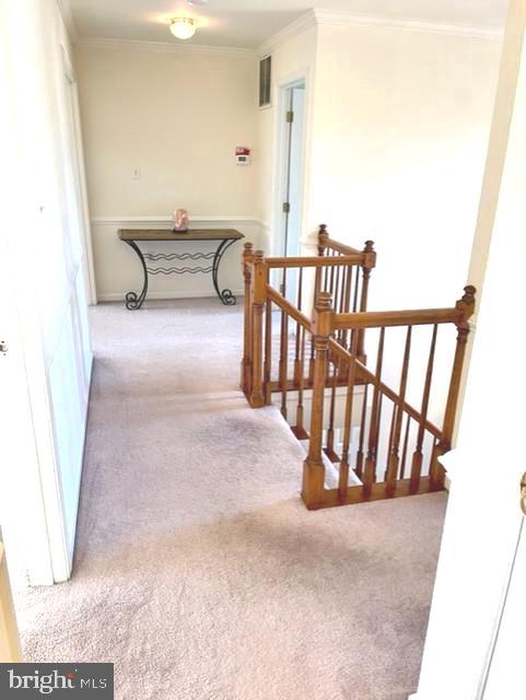 KINGS GRANT - Residential