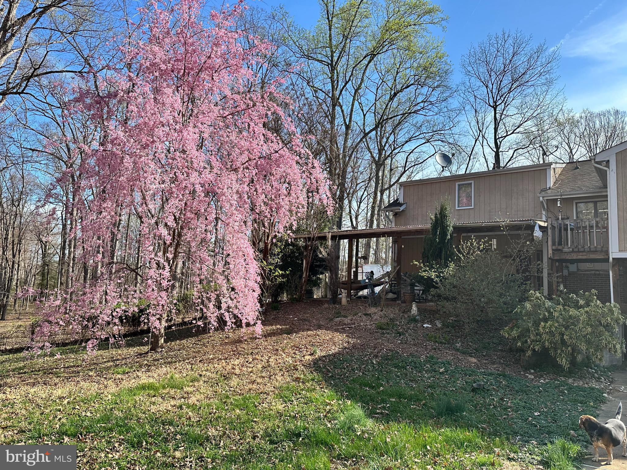 BREWSTER RIDGE - Residential