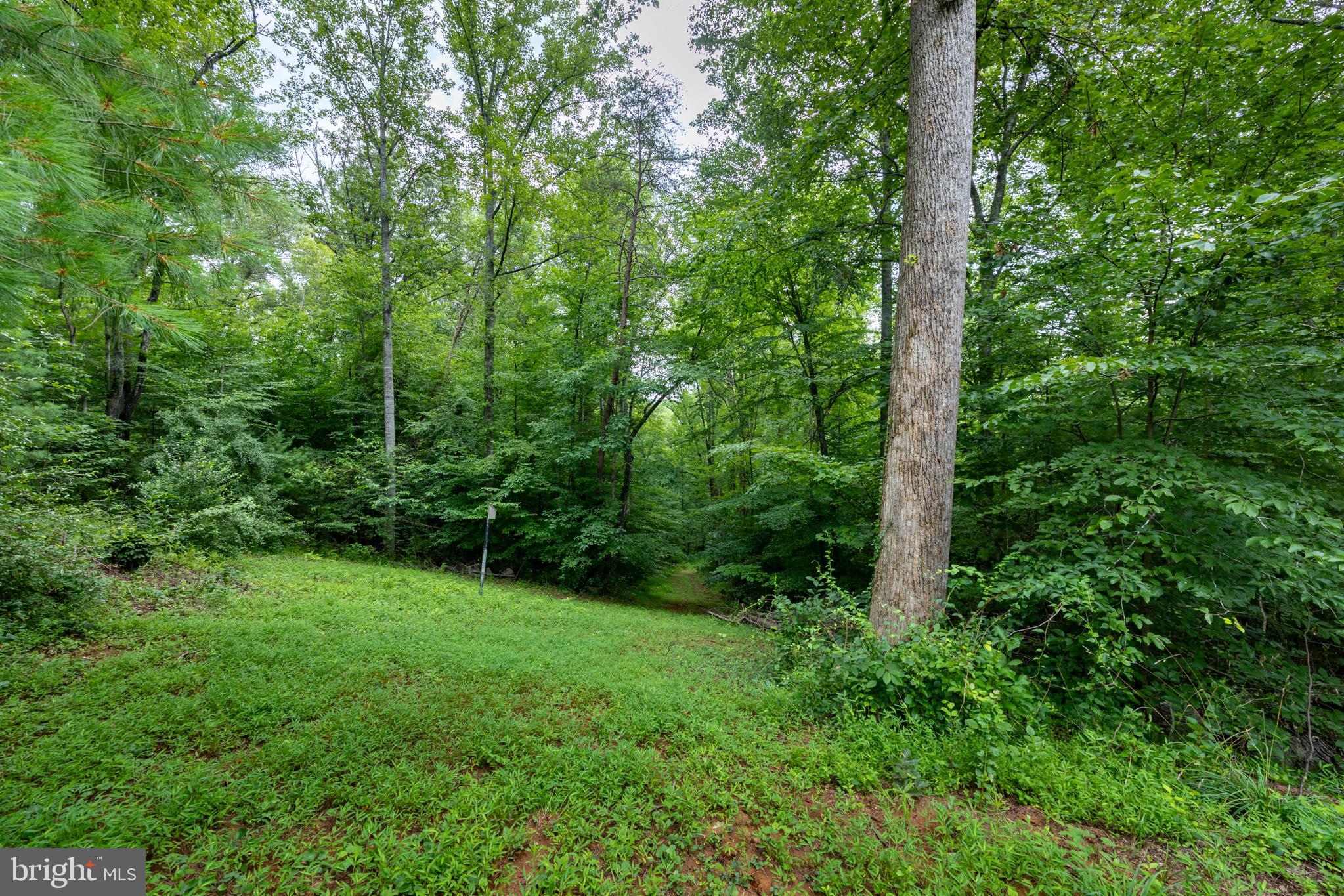 LAUREL MOUNTAIN - Residential