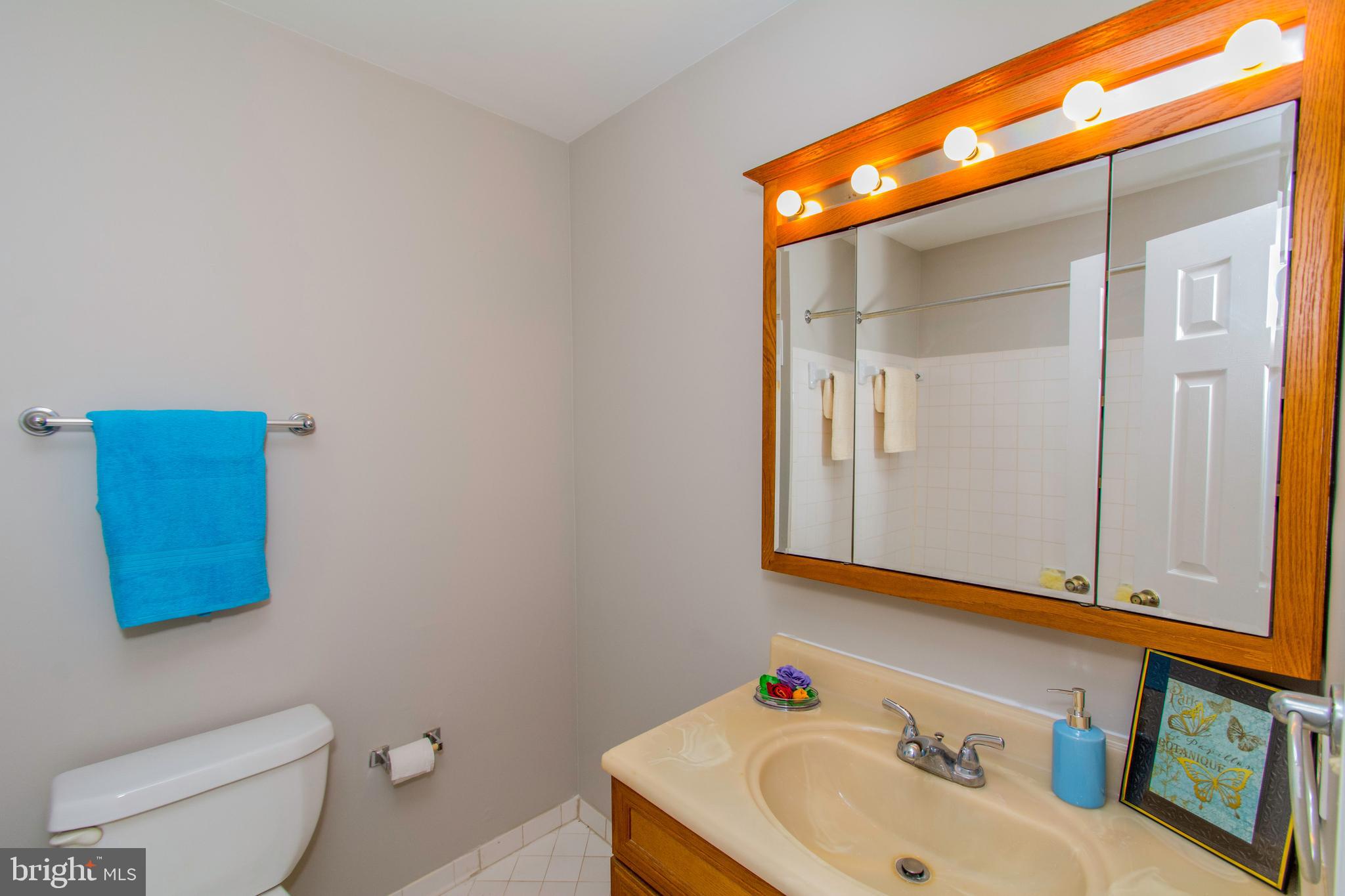 THE VILLAGE AT GREENS OF PATUXENT - Residential
