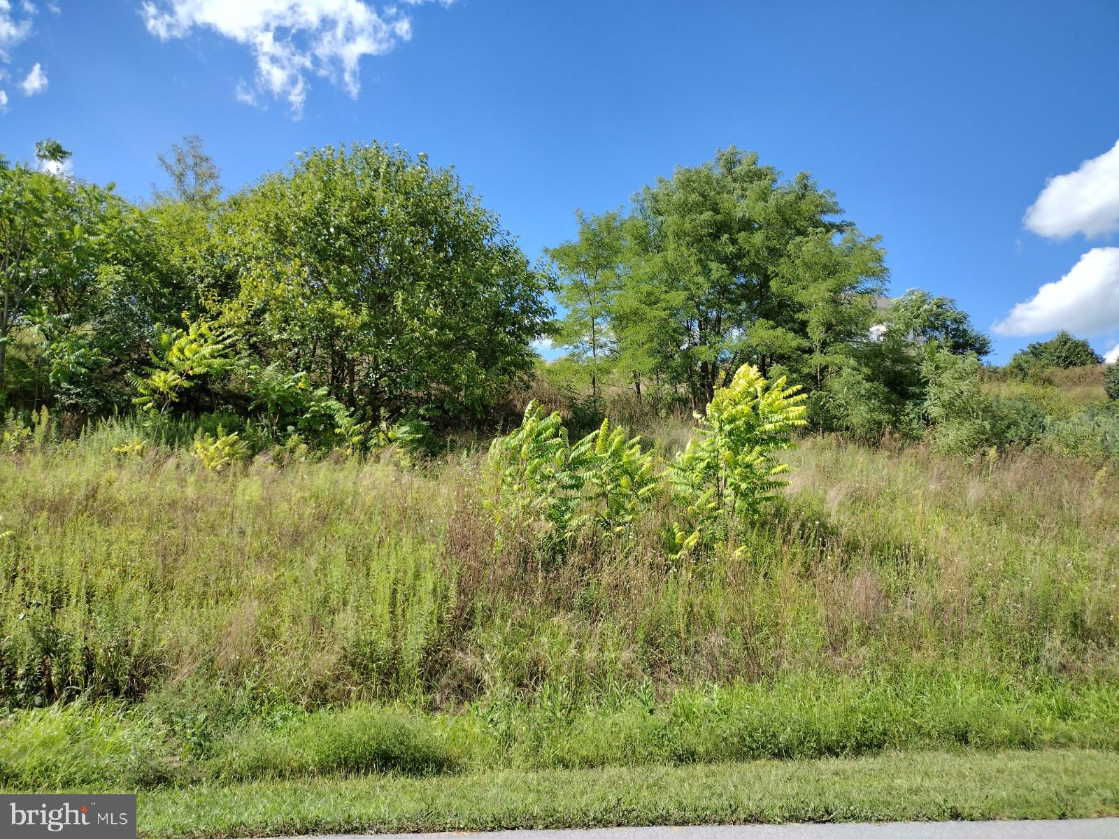 Scenic 360 degree view! 1.4 Acre lot with public water and sewer available. Close to amenities and walking trail. Bring your own builder to construct your dream home in Spring Run!