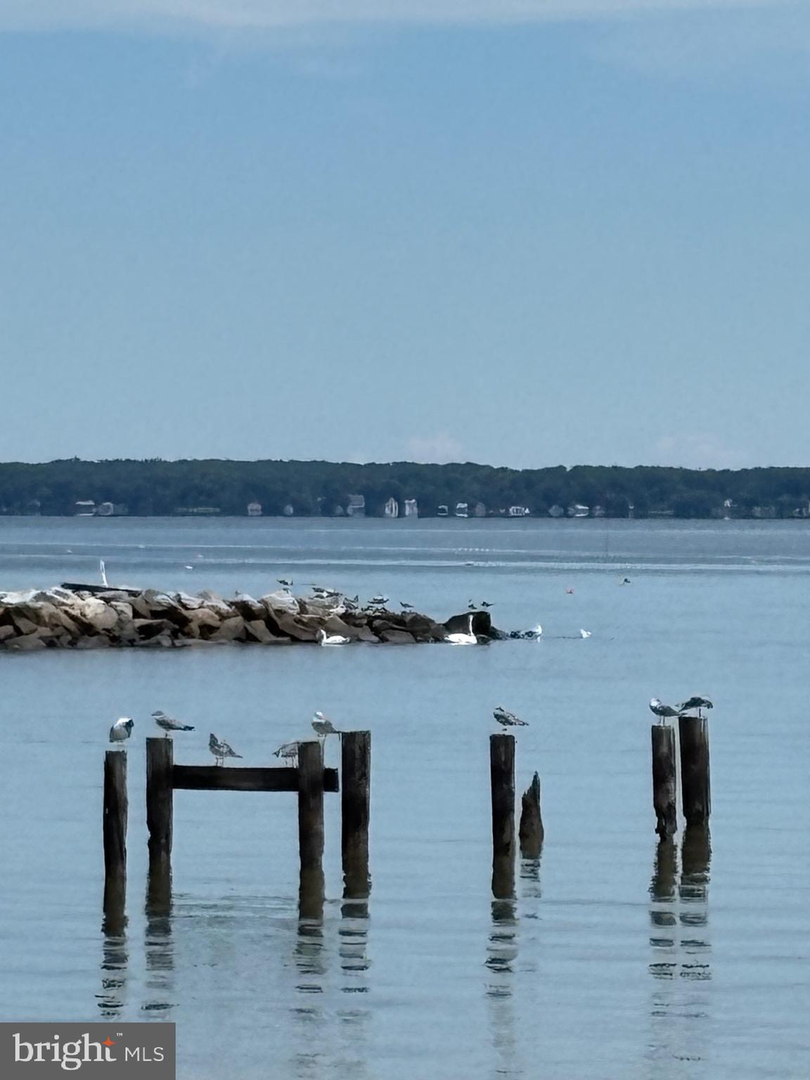 RAGGED POINT BEACH - Residential