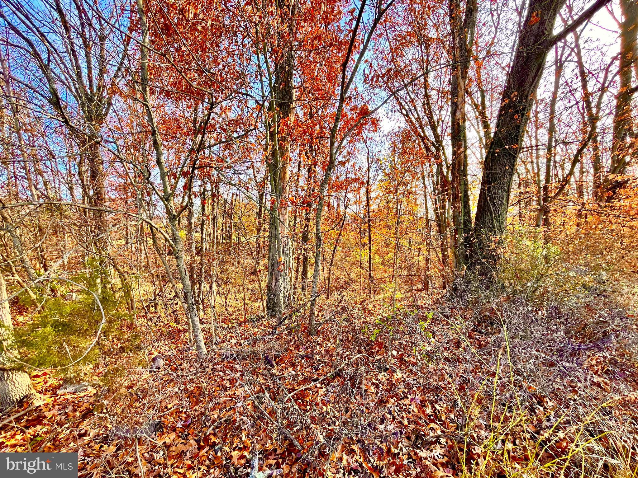Located at the end of a no through street is this wooded (nearly) acre lot. Water would most likely be supplied by well and public sewer is available in the street. Property is within Pottsgrove School District. Use 1536 Brooke Rd for GPS purposes.