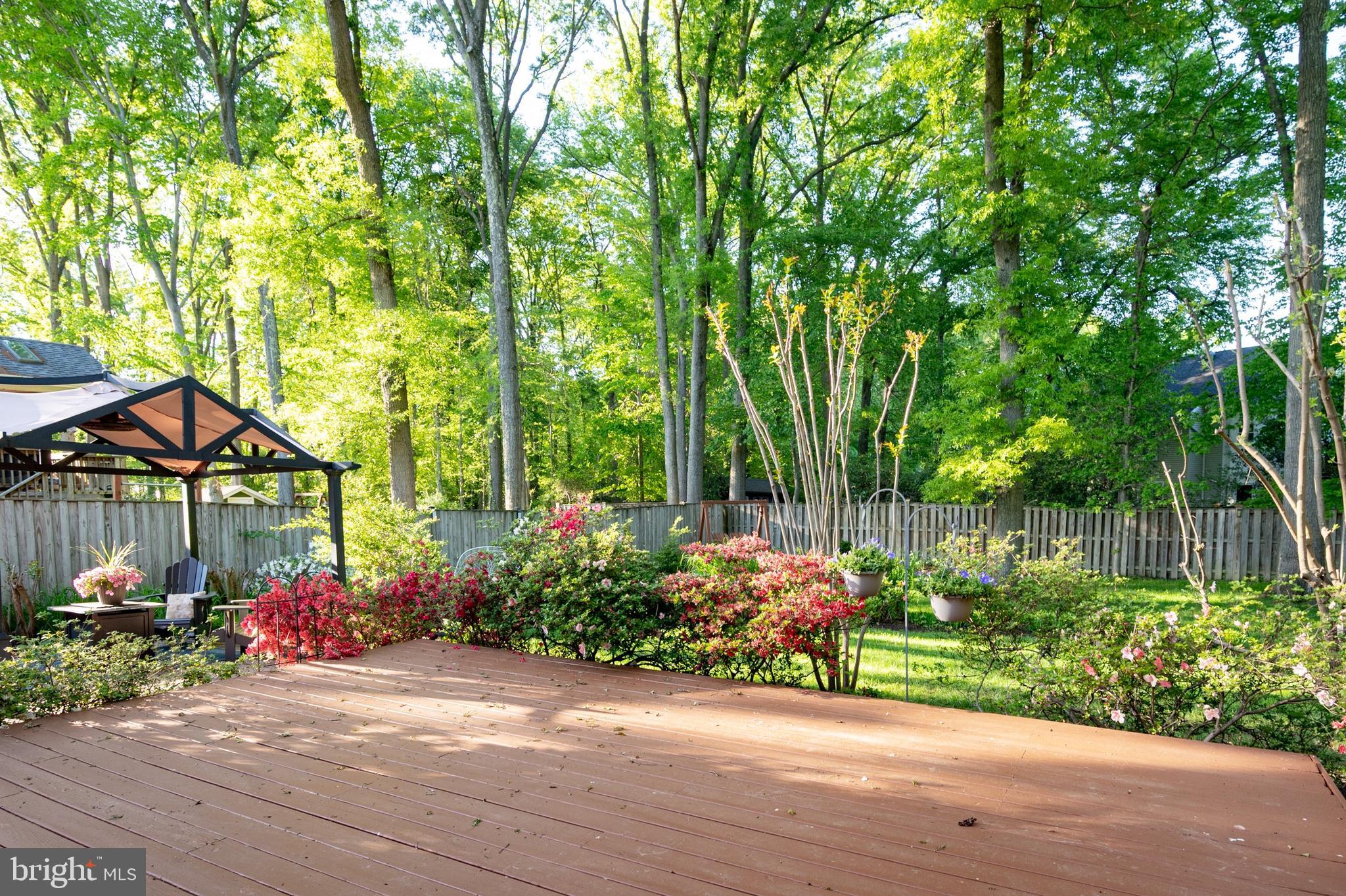 COLLINGWOOD SPRINGS - Residential