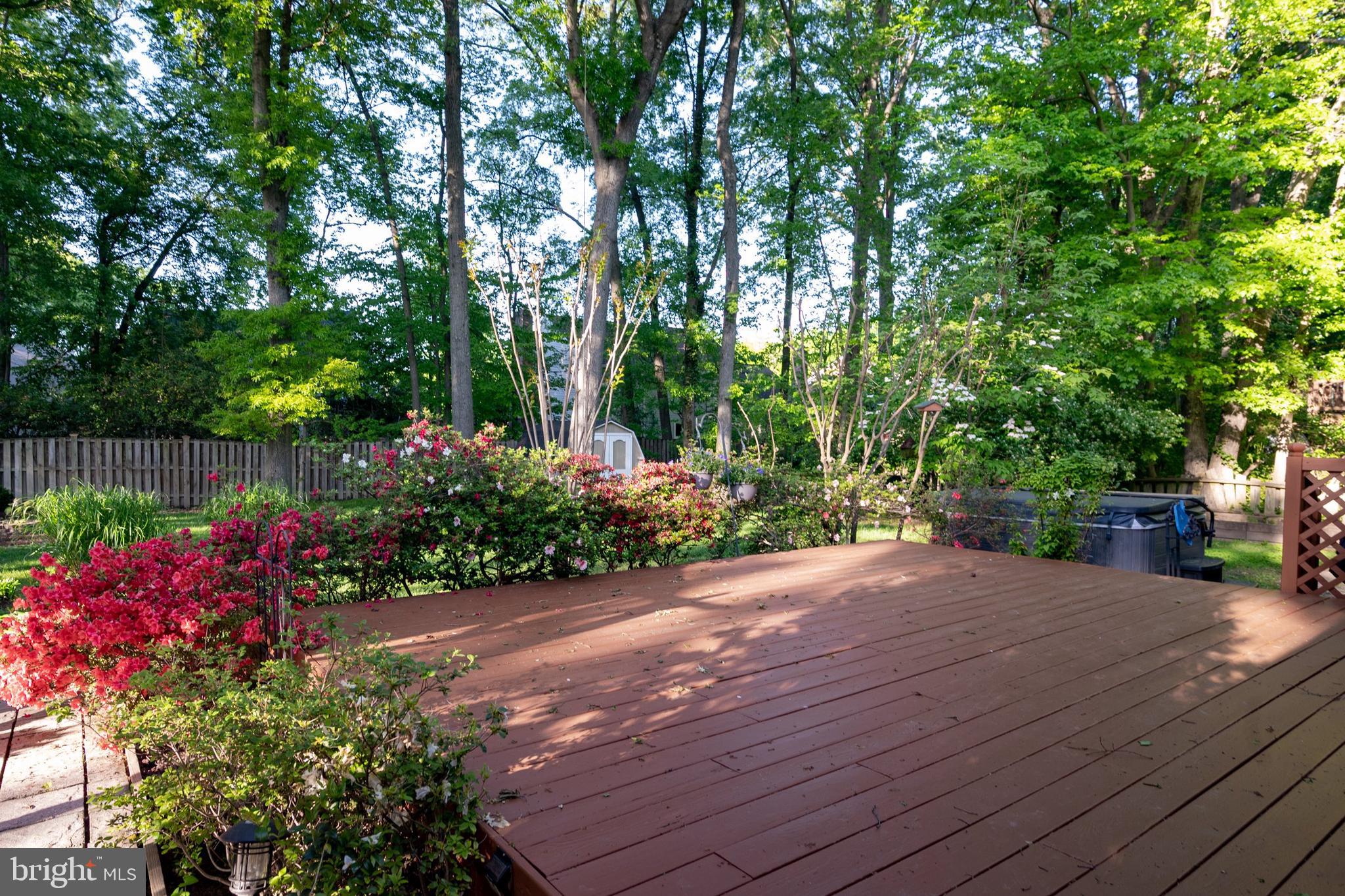COLLINGWOOD SPRINGS - Residential