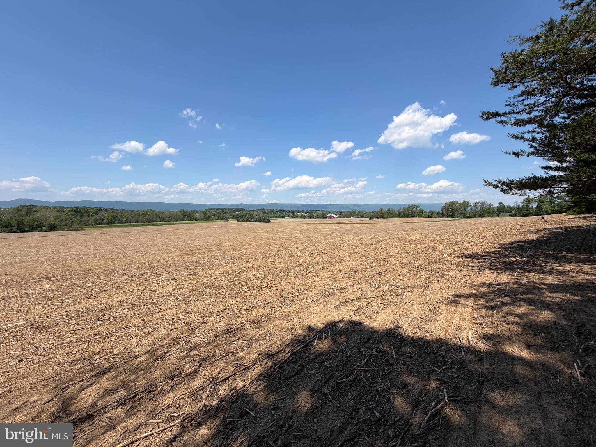 NONE AVAILABLE - Farm