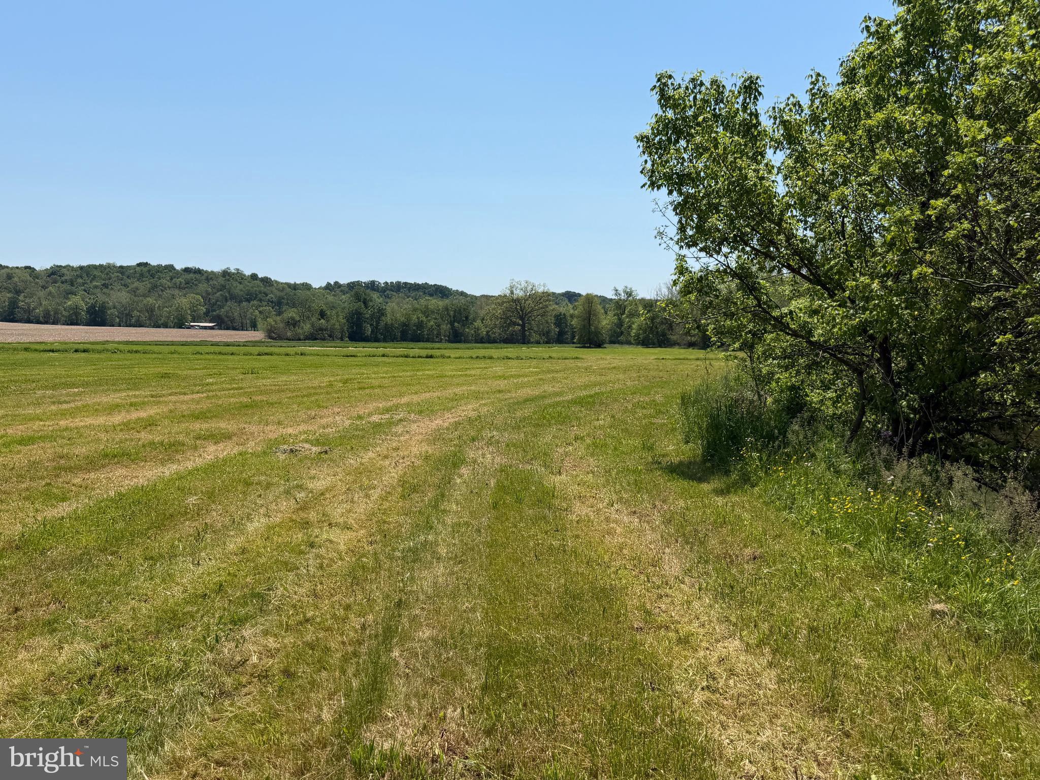 NONE AVAILABLE - Farm