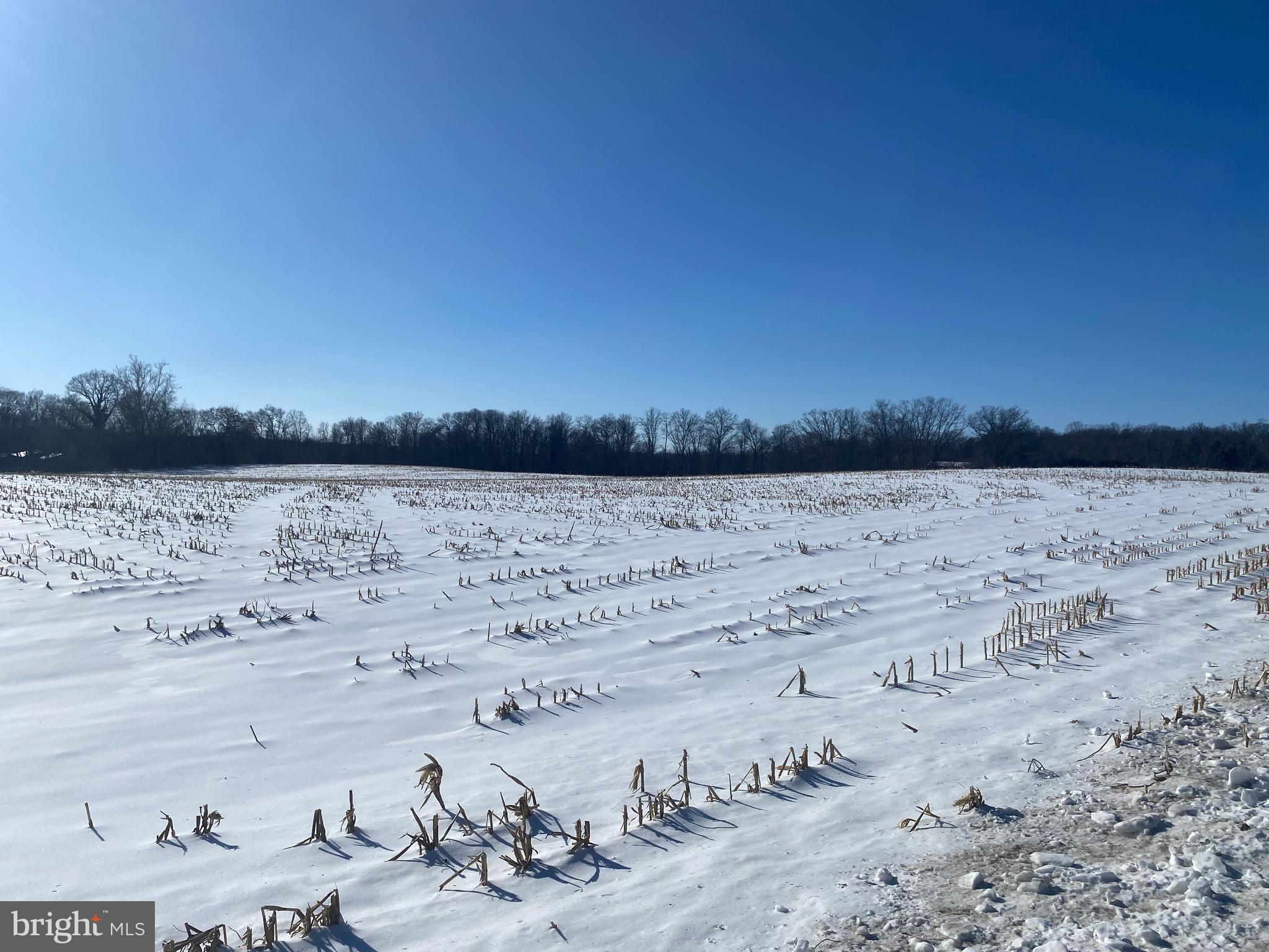 FAYETTEVILLE - Farm