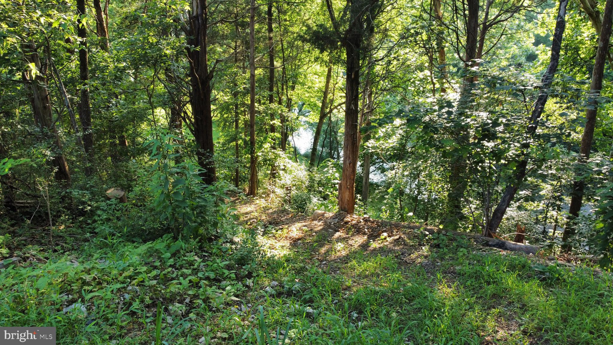 HIDDEN RIVER - Land