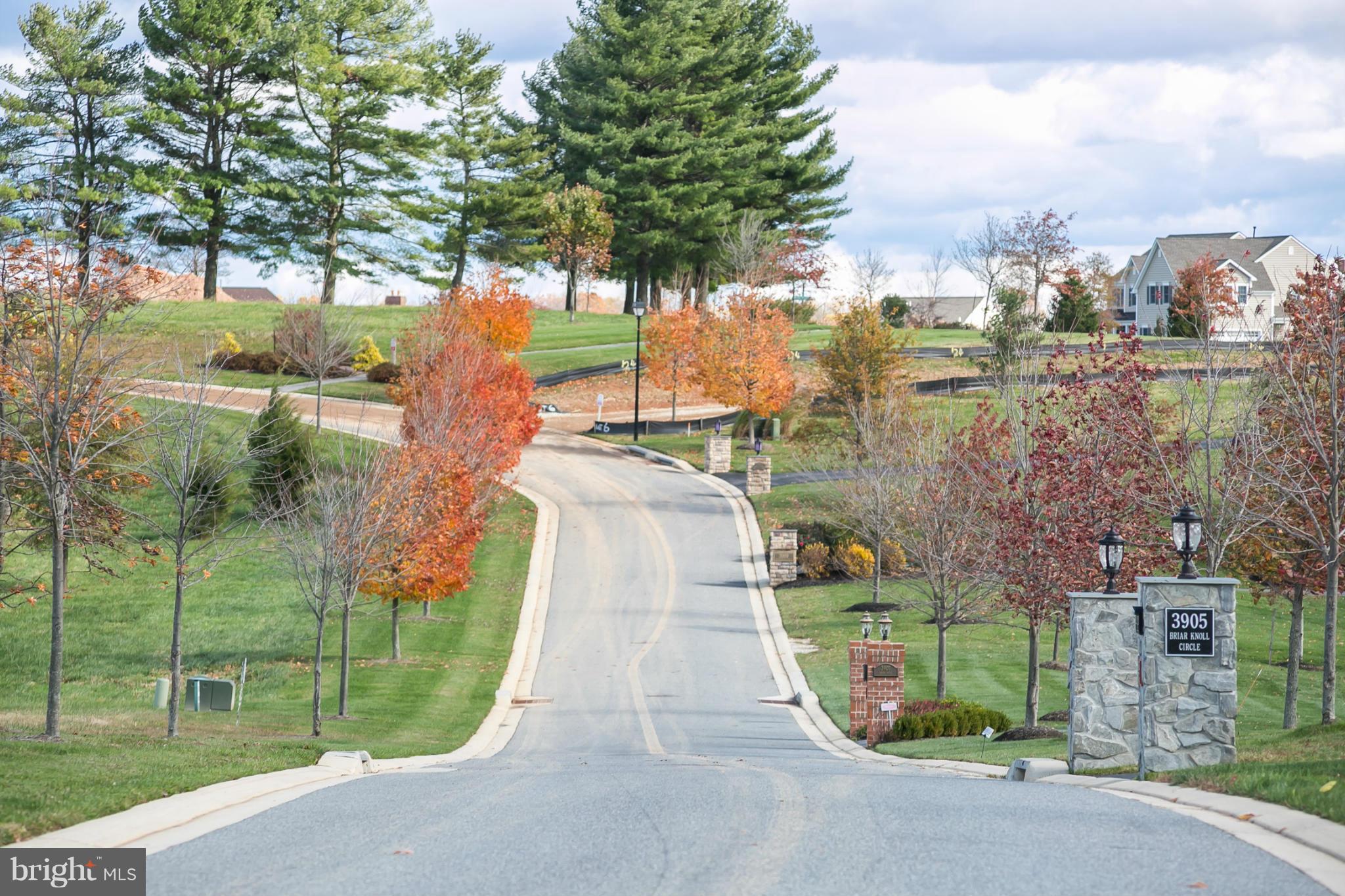 BRIAR KNOLL - Land