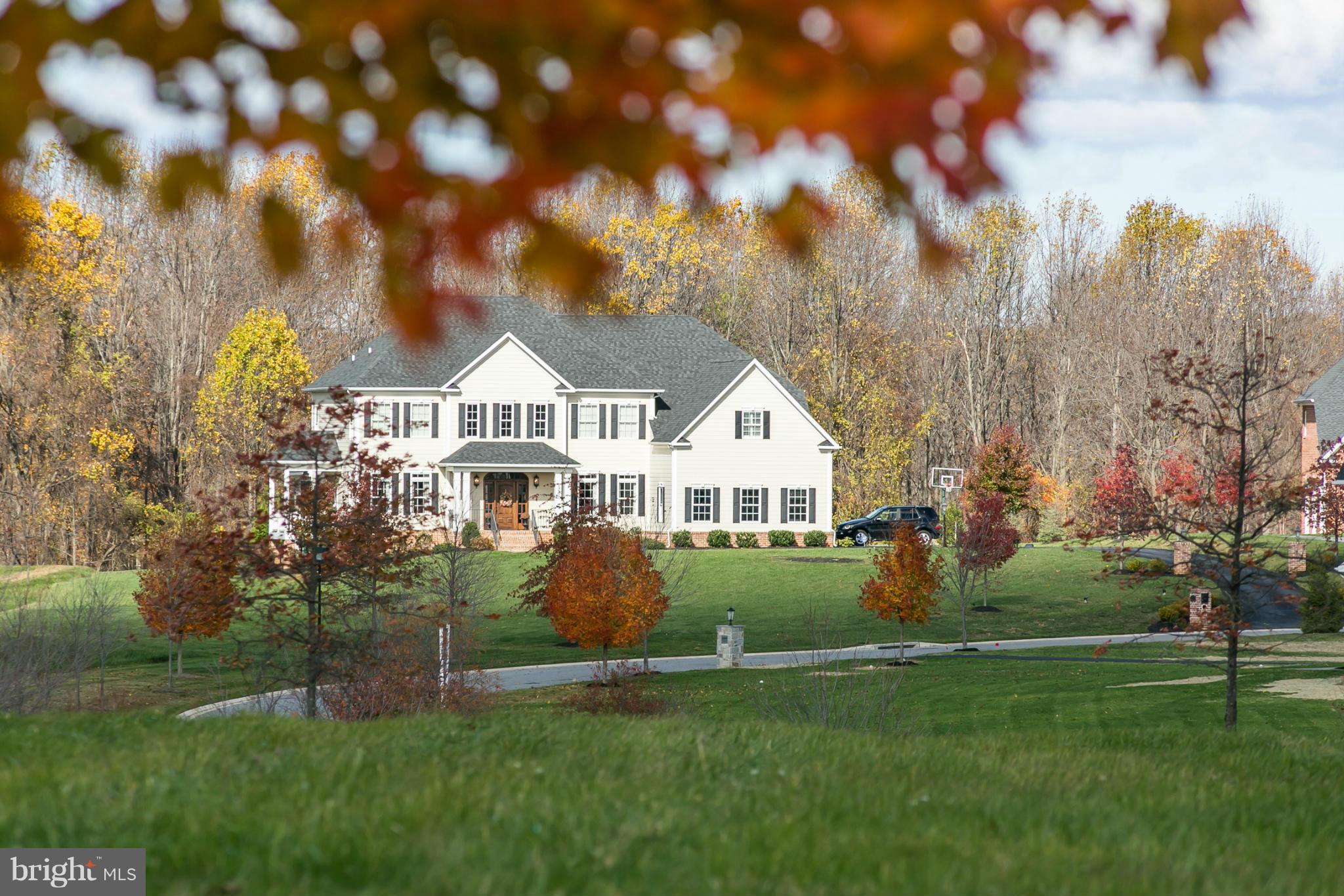 BRIAR KNOLL - Land