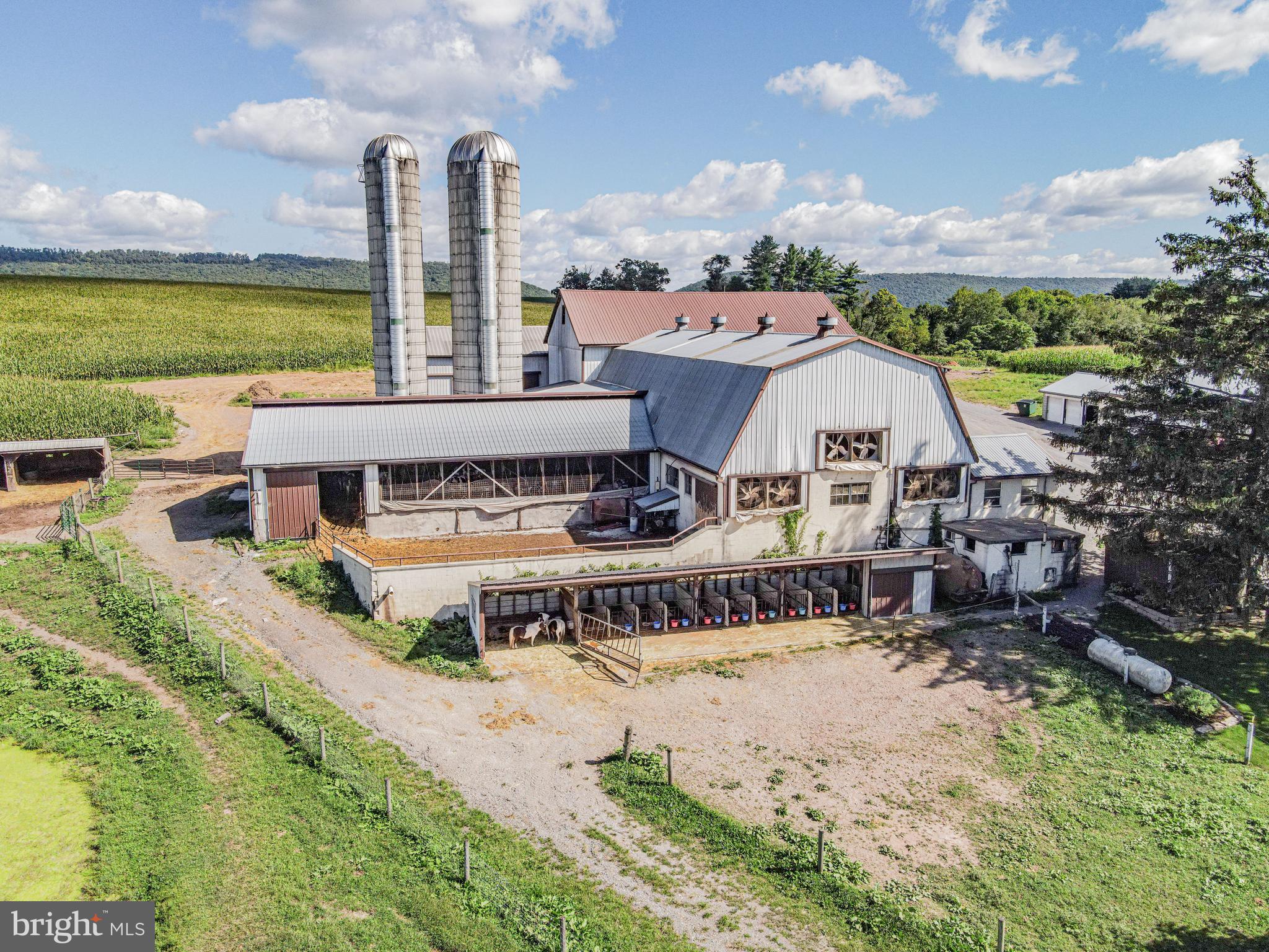 NONE AVAILABLE - Farm