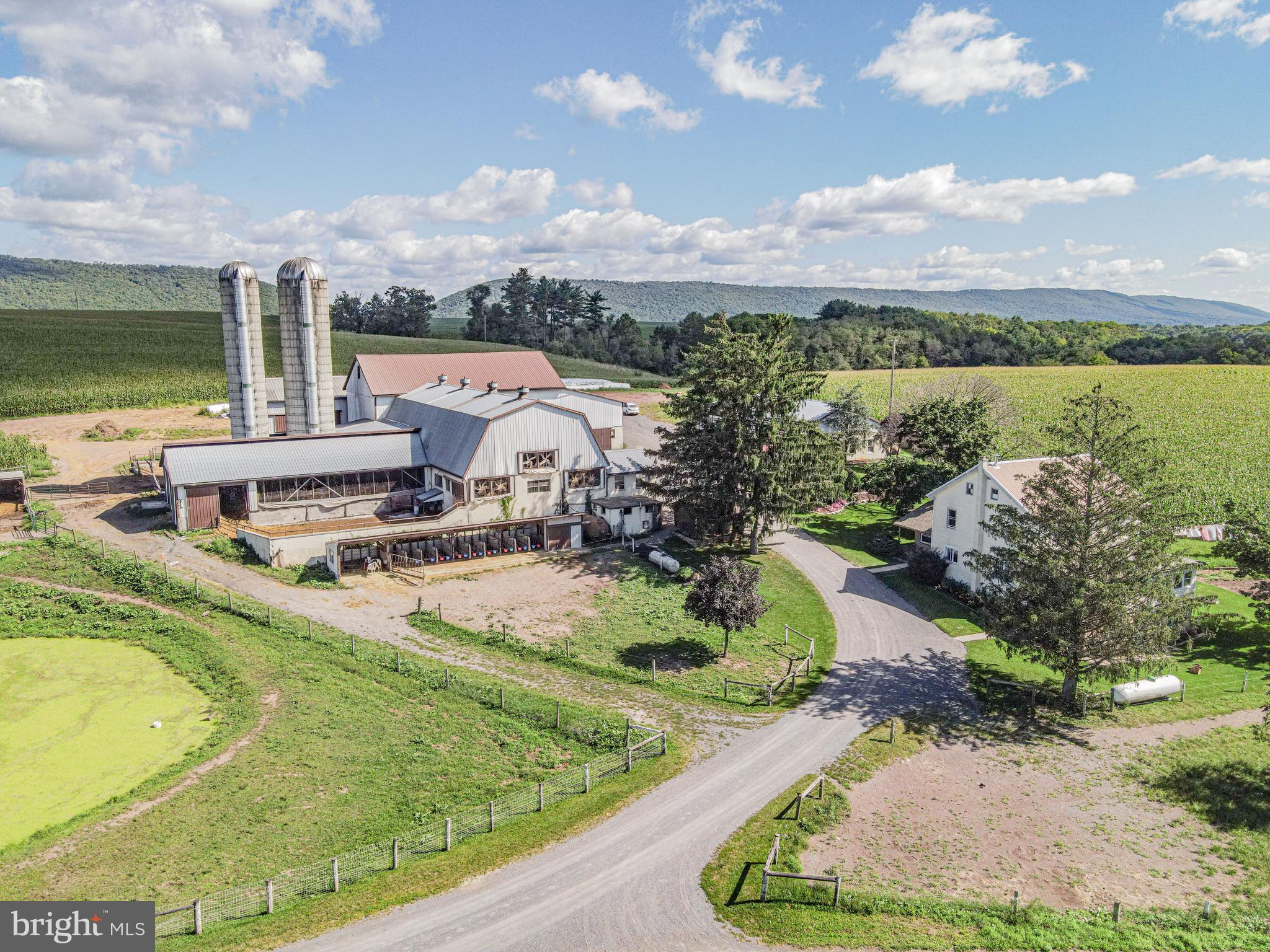 NONE AVAILABLE - Farm