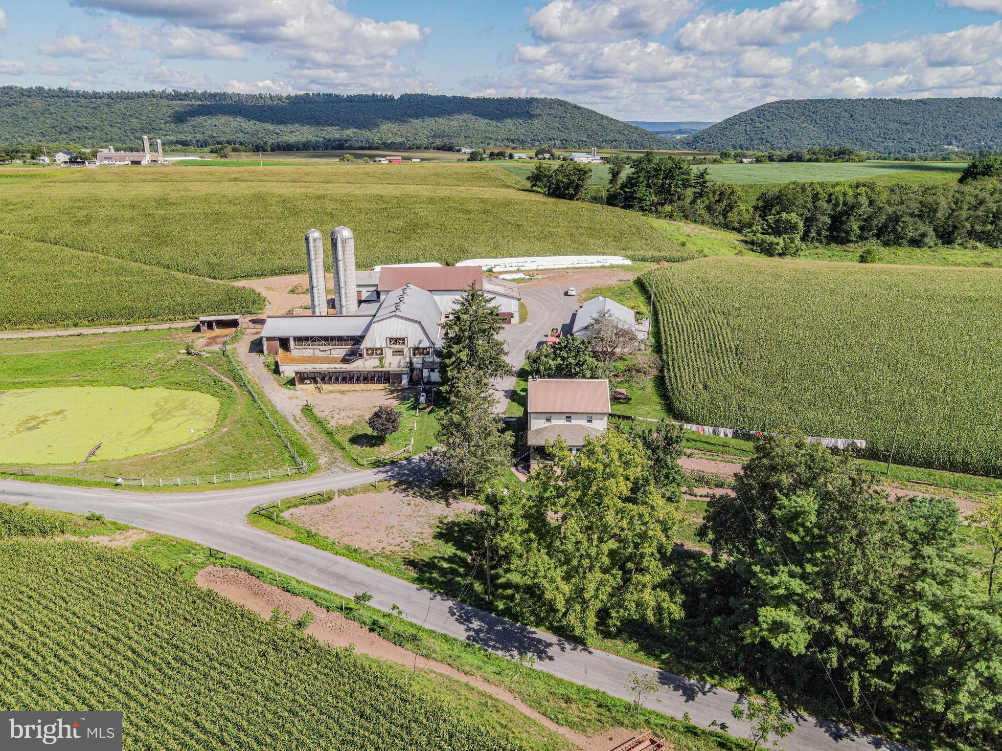 NONE AVAILABLE - Farm