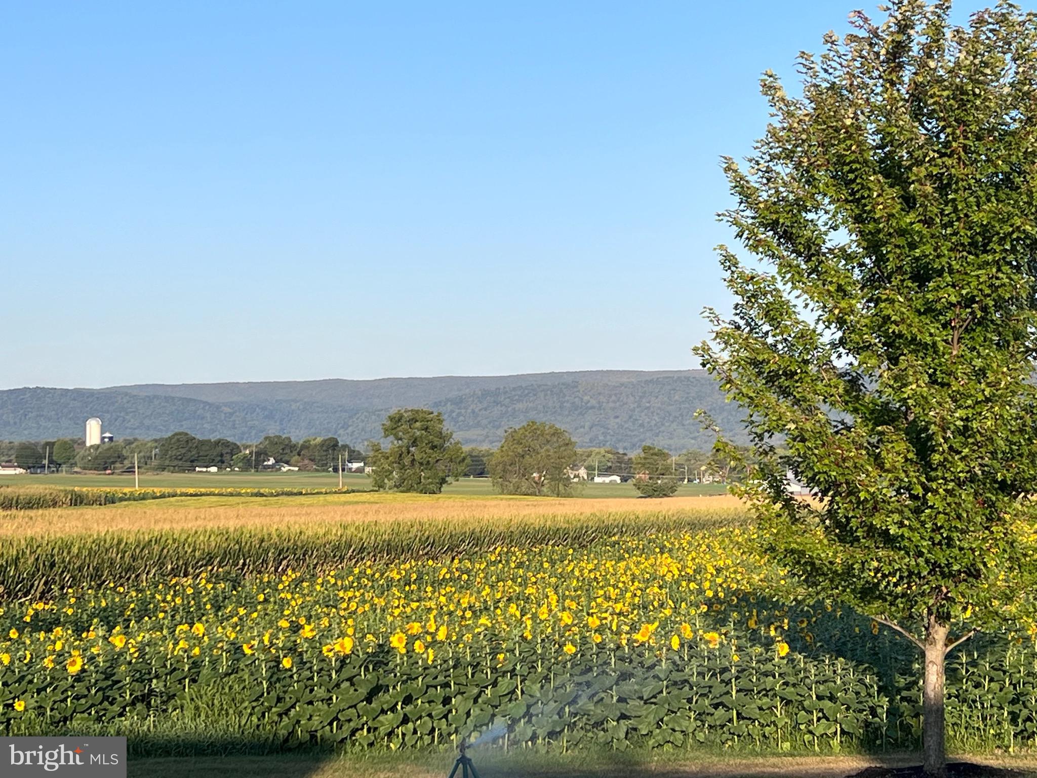 MERCERSBURG - Residential