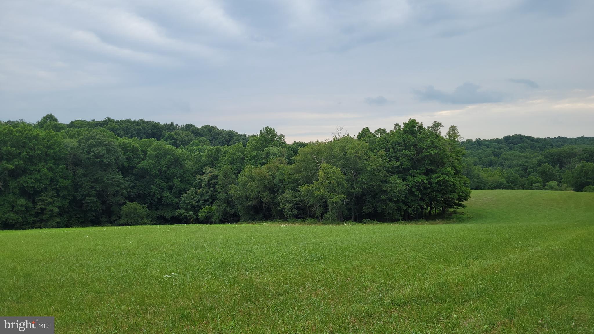 Deadline for offers is  noon on Saturday 6/22/24

Absolutely gorgeous 25+ acre property with mix of hayfield and mature surrounding a small stream on site.   Very private setting, no houses or other buildings visible from several potential house locations.   Gently sloping terrain is ideal for a walk out basement.  No shared driveway, no forest conservation easement, no highway noise.   Conveniently located 5 miles north of Mount Airy, and 17 miles from historic downtown Frederick.  This 25 acre parcel is the remainder from the original farm, so it retained the 14216 Peddicord Road address - access will actually be from Talbot Run Road, and the county may change the address to Talbot Run Road (which makes more sense).  This parcel has an existing Potomac Edison transformer on the eastern boundary about 200' from Talbot Run Road, and a Comcast pedestal near the southeastern corner of the property - the Comcast pedestal is a good landmark for estimating the southern boundary of the property.

Perc test approved for a sand mound system on 6/11/24.   Will post perc test approval letter when it's received.   Current price reflects Buyer installing well in location of buyer's choice after settlement - Seller will consider installing well but price will likely increase due to cost of well and delay in settlement date.  Seller will pay the ag transfer tax on a one acre home site, Buyer shall execute a declaration of intent to keep the balance of the property (24.5 acres)  in agricultural use, or pay the ag transfer tax on the 24.6 acres.