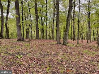 LONG ACRE ESTATES - Land