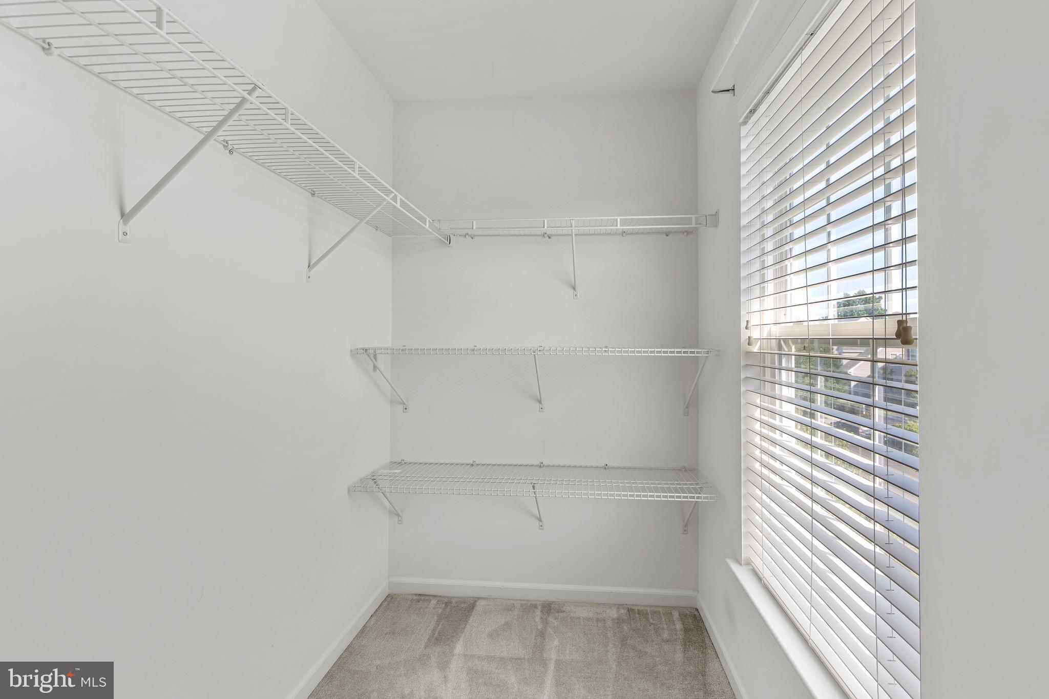 BEDMINSTER HUNT - Residential