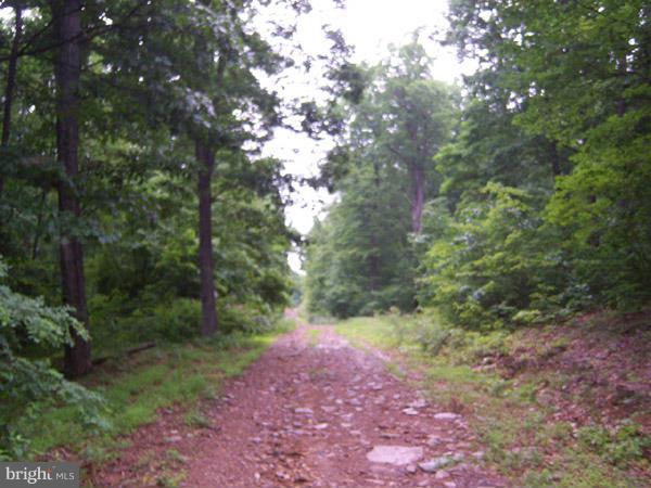 CACAPON MOUNTAIN RECREATIONAL AREA - Land