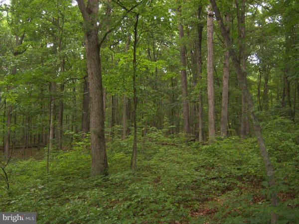 CACAPON MOUNTAIN RECREATIONAL AREA - Land