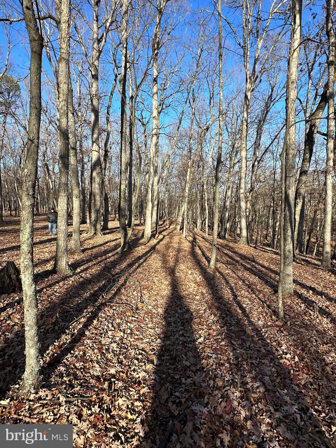 RIVER RIDGE - Land