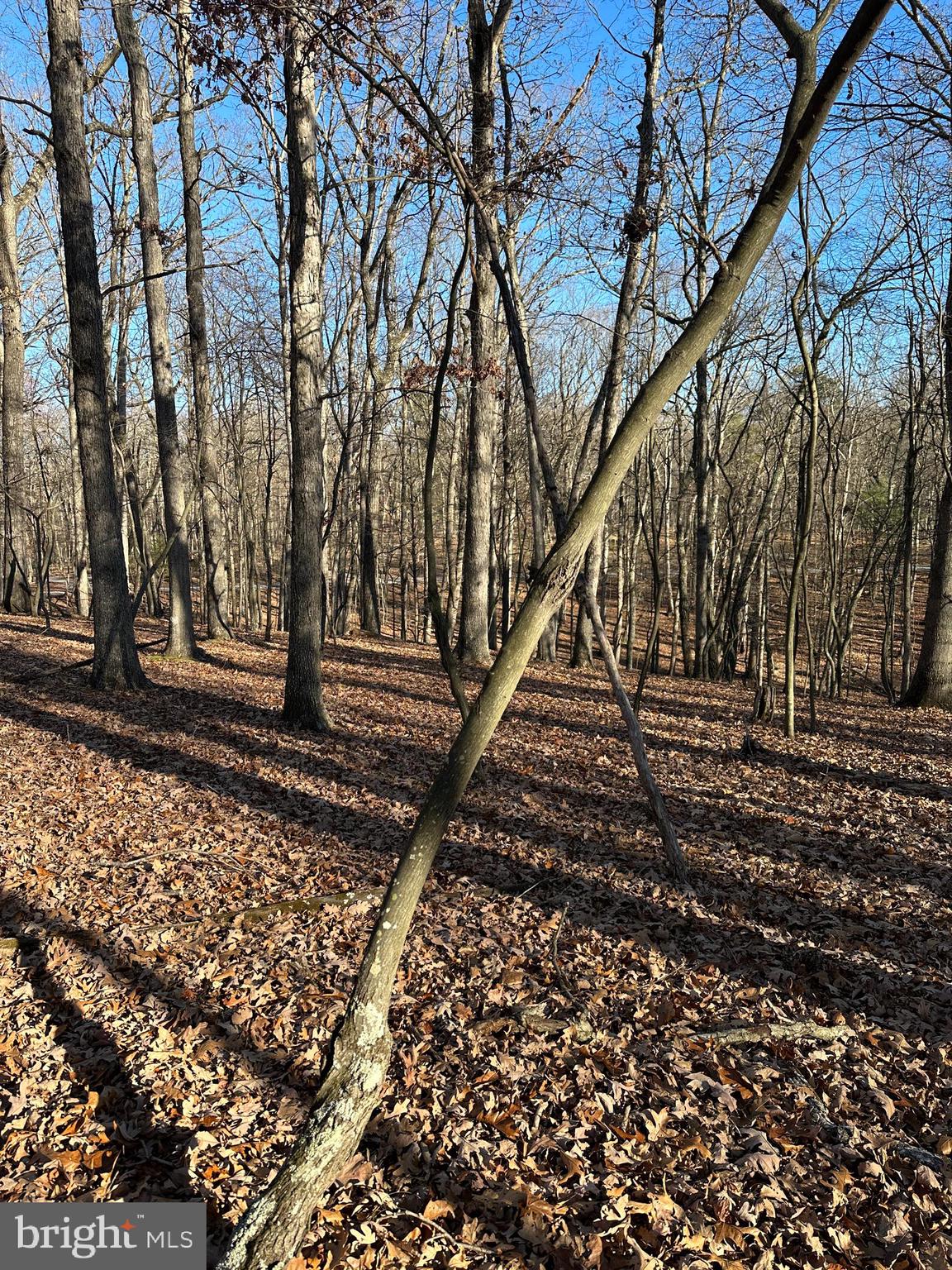 RIVER RIDGE - Land