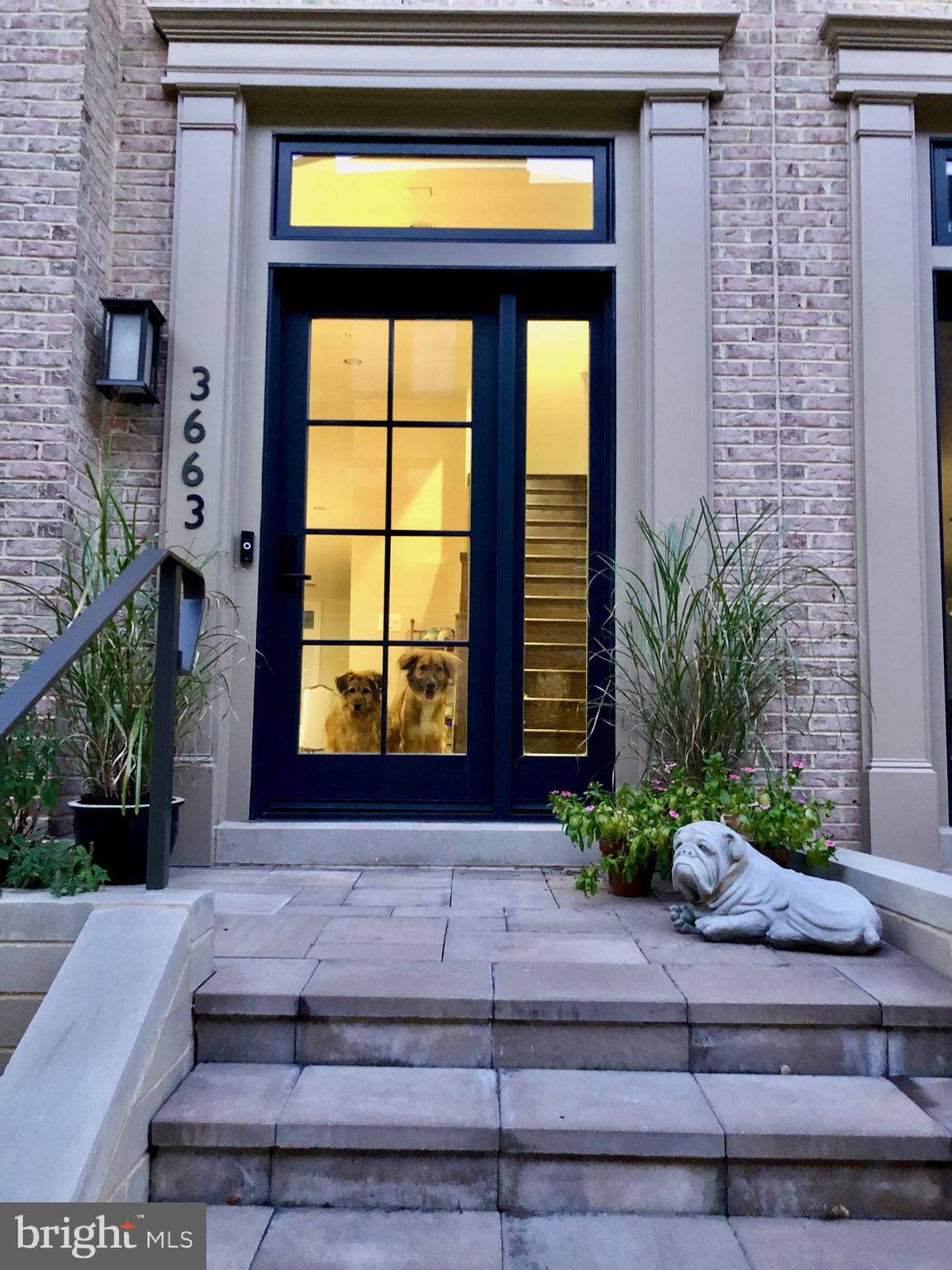 CHEVY CHASE - Residential
