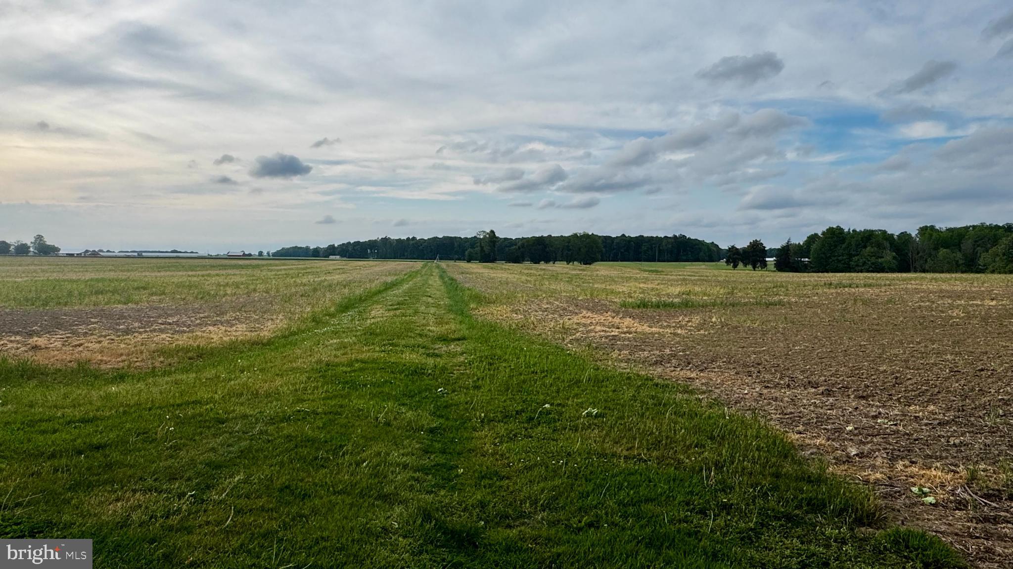 CORDOVA - Farm