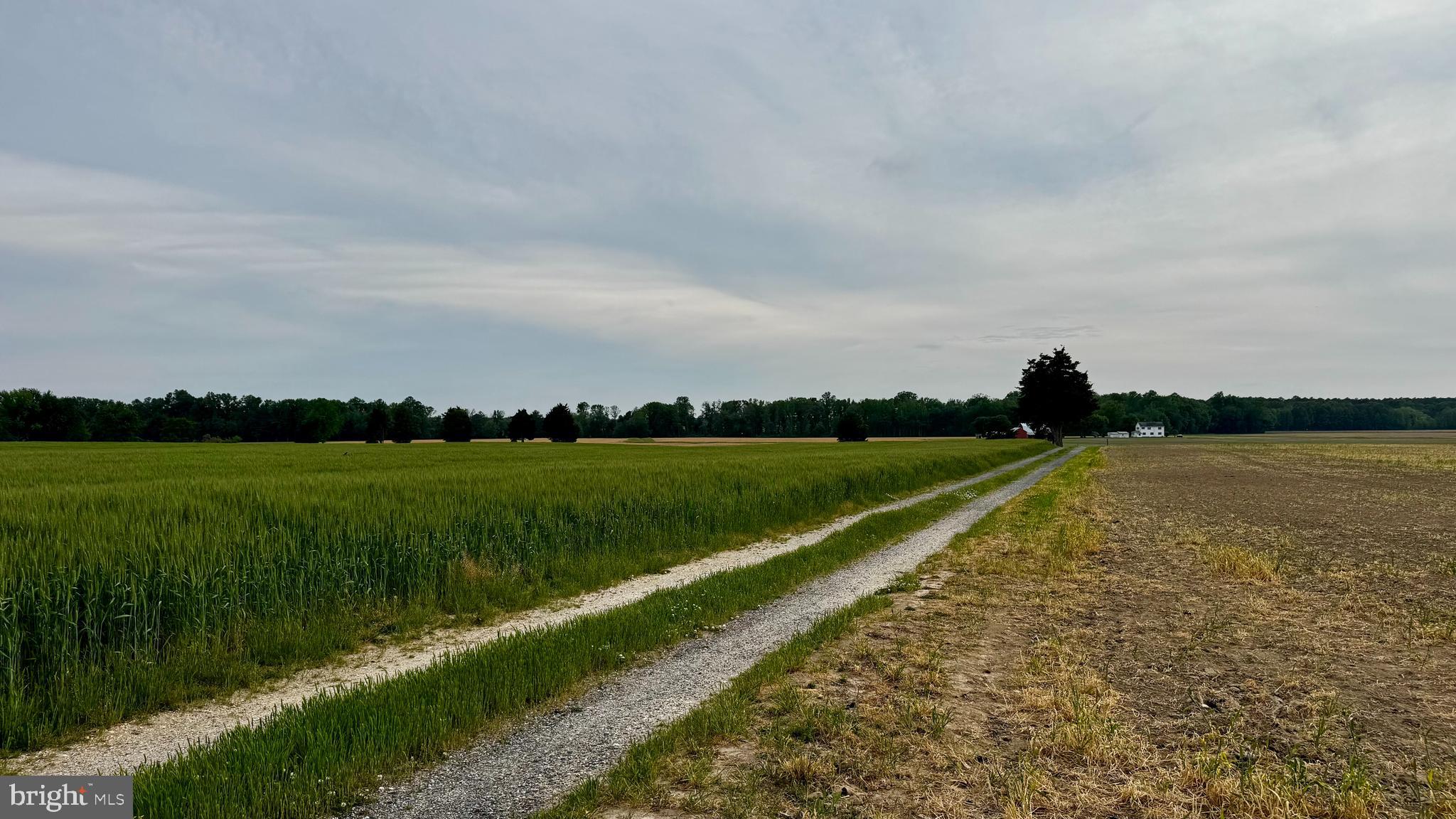 CORDOVA - Farm