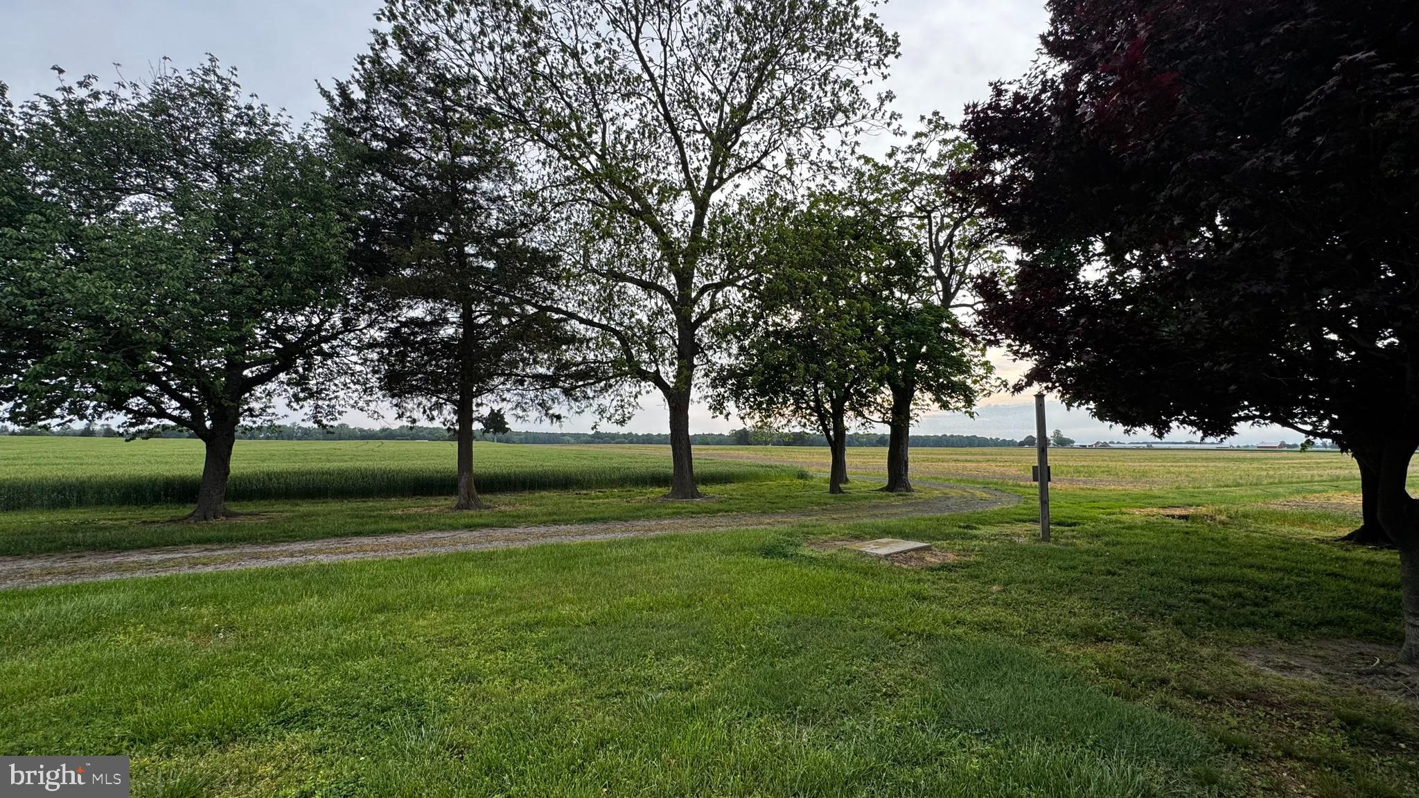 CORDOVA - Farm